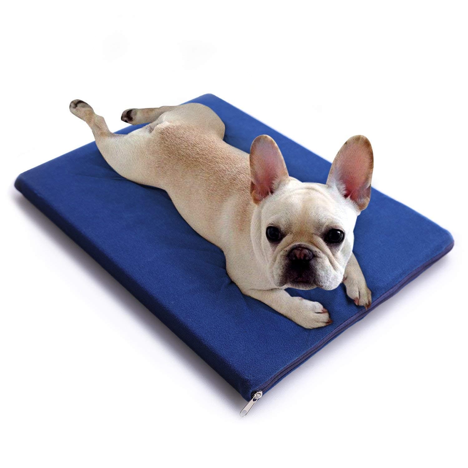 lesotc Dog Cooling Mat Non-Toxic