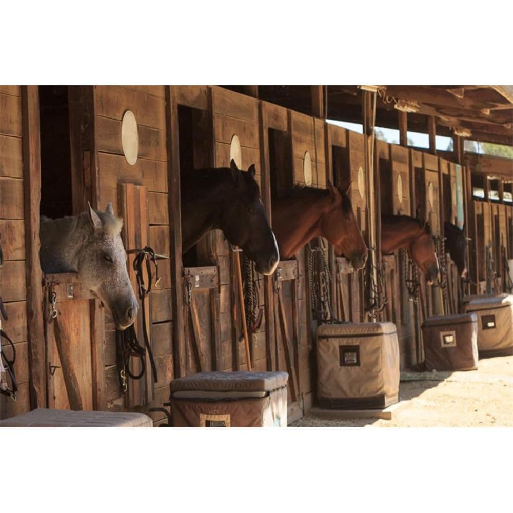 Laeacco Stable Backdrop 7x5ft Vinyl Photography Background - Stud-Farm Horses Scene - Farm Country Village Rustic Rural Theme - Cowboy Portrait Background Prop