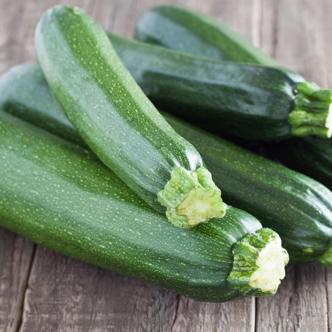 PREMIER SEEDS DIRECT - COURGETTE - Ambassador F1-25 Finest Seeds