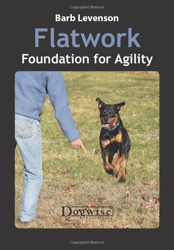 Flatwork: Foundation for Agility