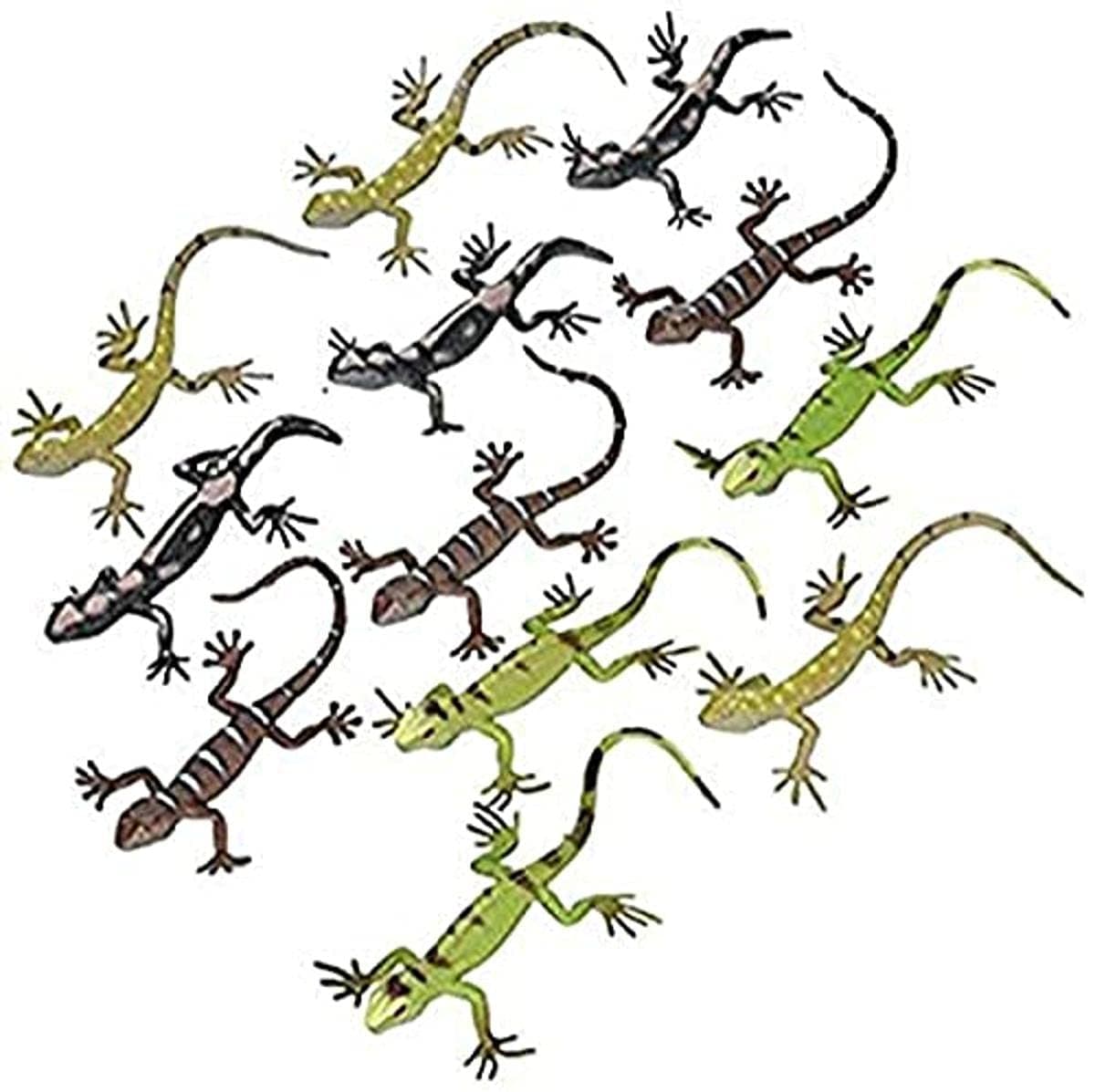 5.5" Lizards