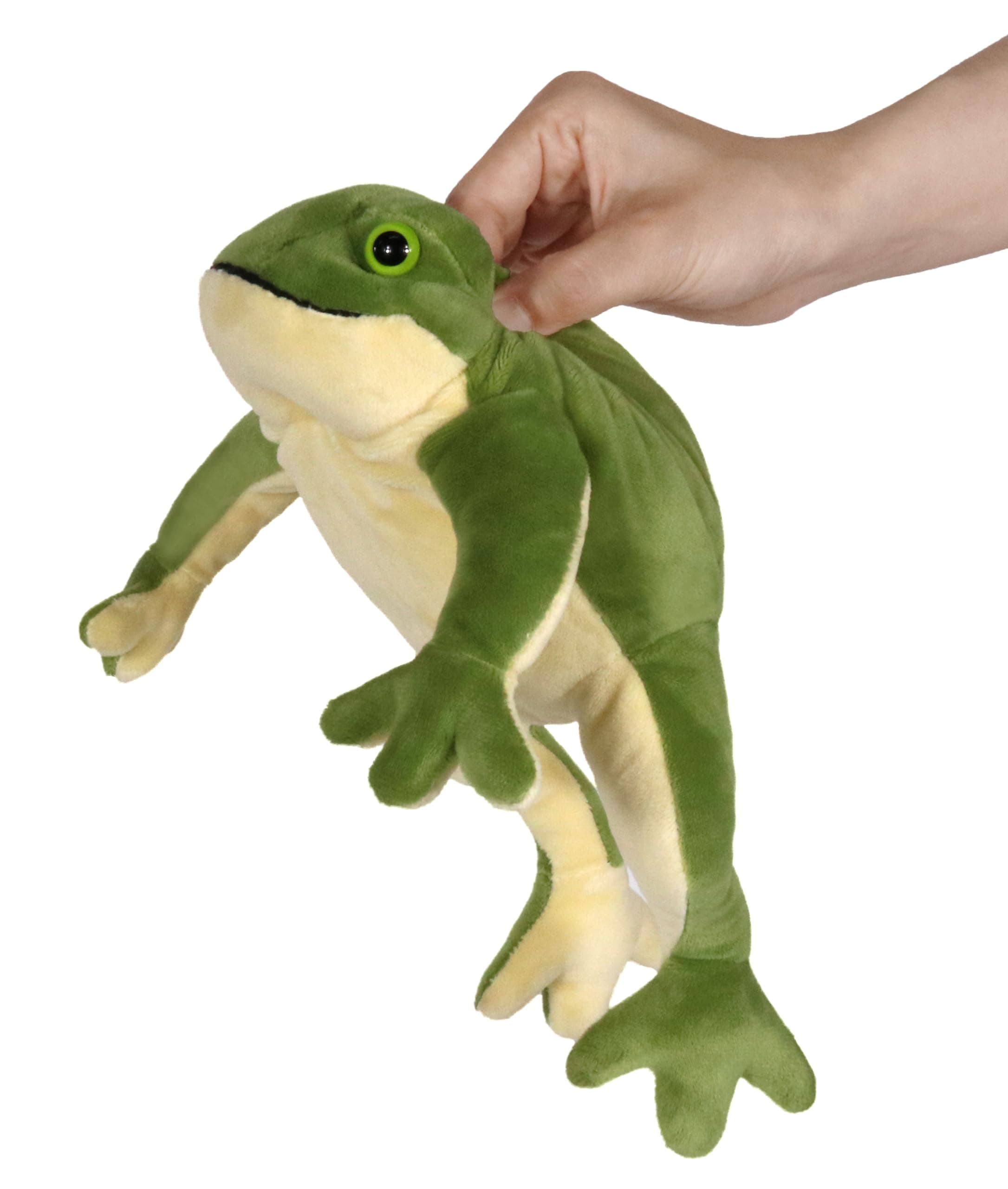 Wild Animal Small Stuffed Animals Zoo Family Plush Toy (Frog 8 Inches)