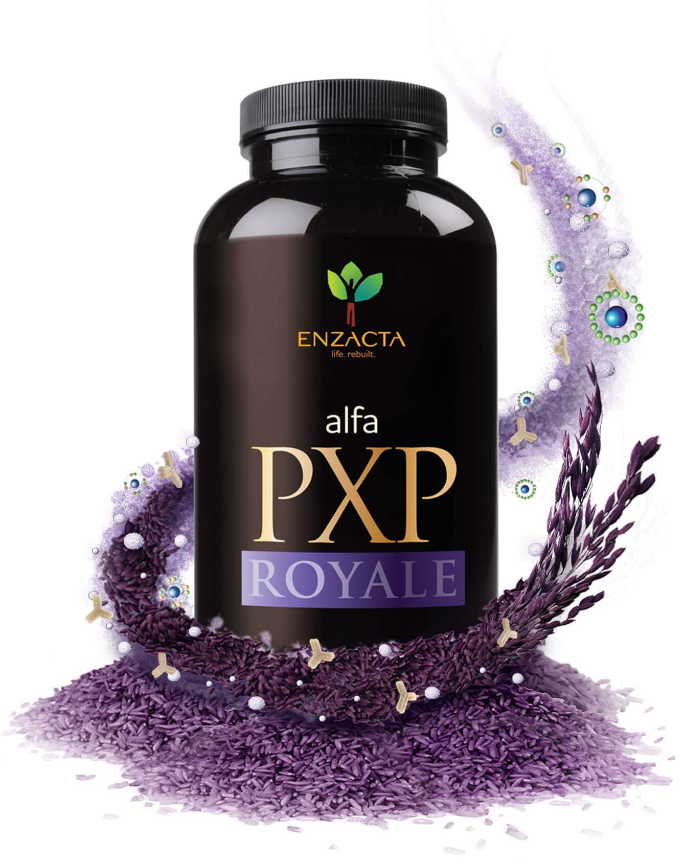 Alfa PXP Royale 150 grm 30 Servings by Enzacta