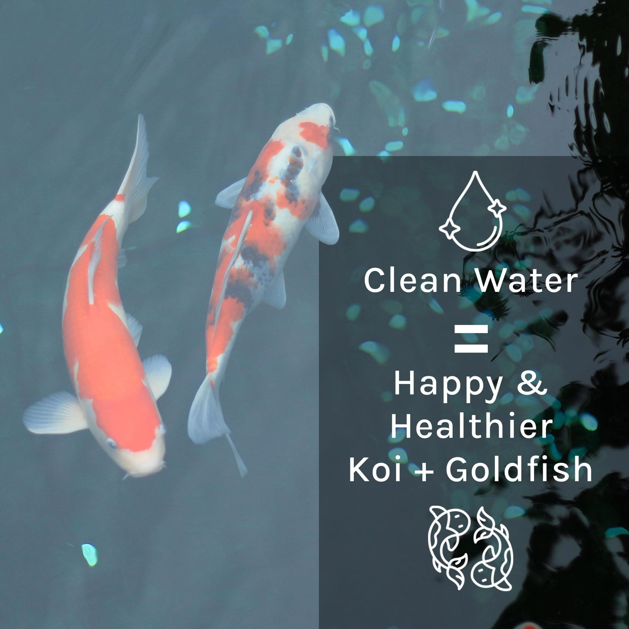 MICROBE-LIFT 1-Quart Pond PL 10PLQ