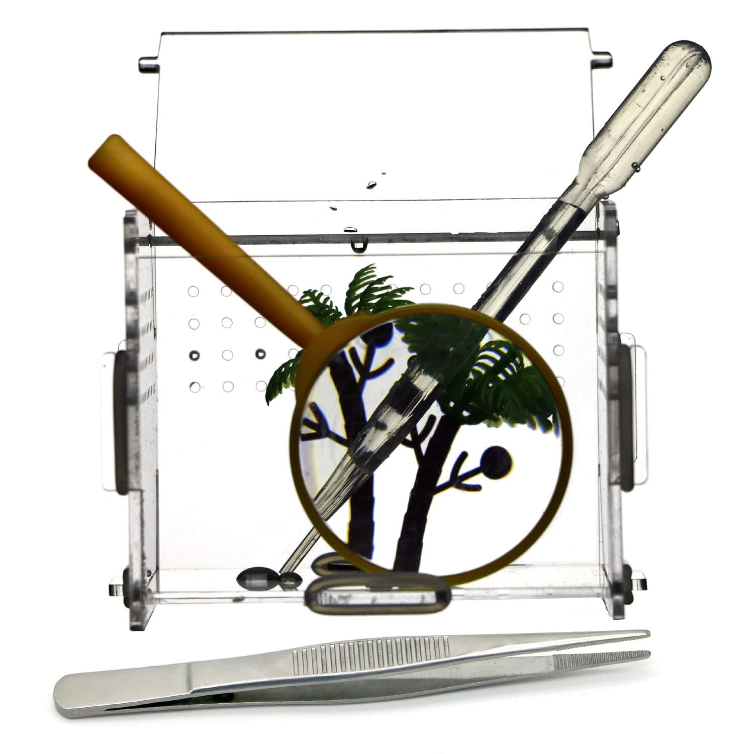 Terrariums Mini Vivariums Crystal Habitat DIY High Transparent Acrylic Box with a Pair Tweezers Magnifier Ideal for Insect Lore Caterpillars Cricket Spider Snail Reptile 4 x 3.7X 3.5 Inch