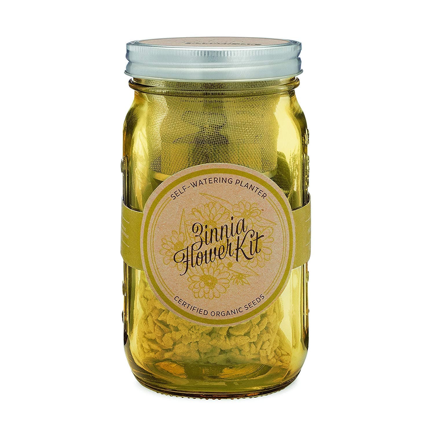 Modern Sprout Zinnia Flower Kit - Self-Watering Garden Jar - Indoor Grow Kit