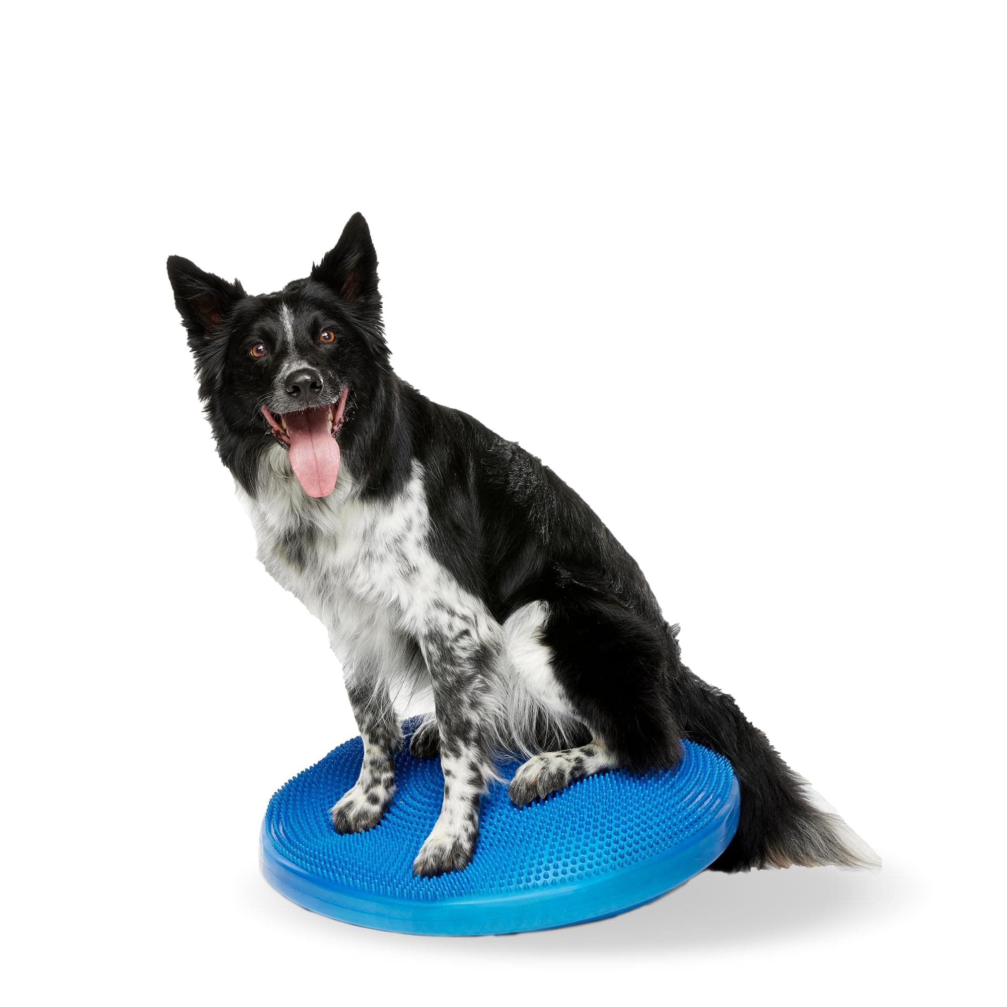FitPAWS® Dog Balance Disc – 22”, Blue | Dog Exercise Equipment | Workout Tool for Strength, Core, Stability & Rehabilitation