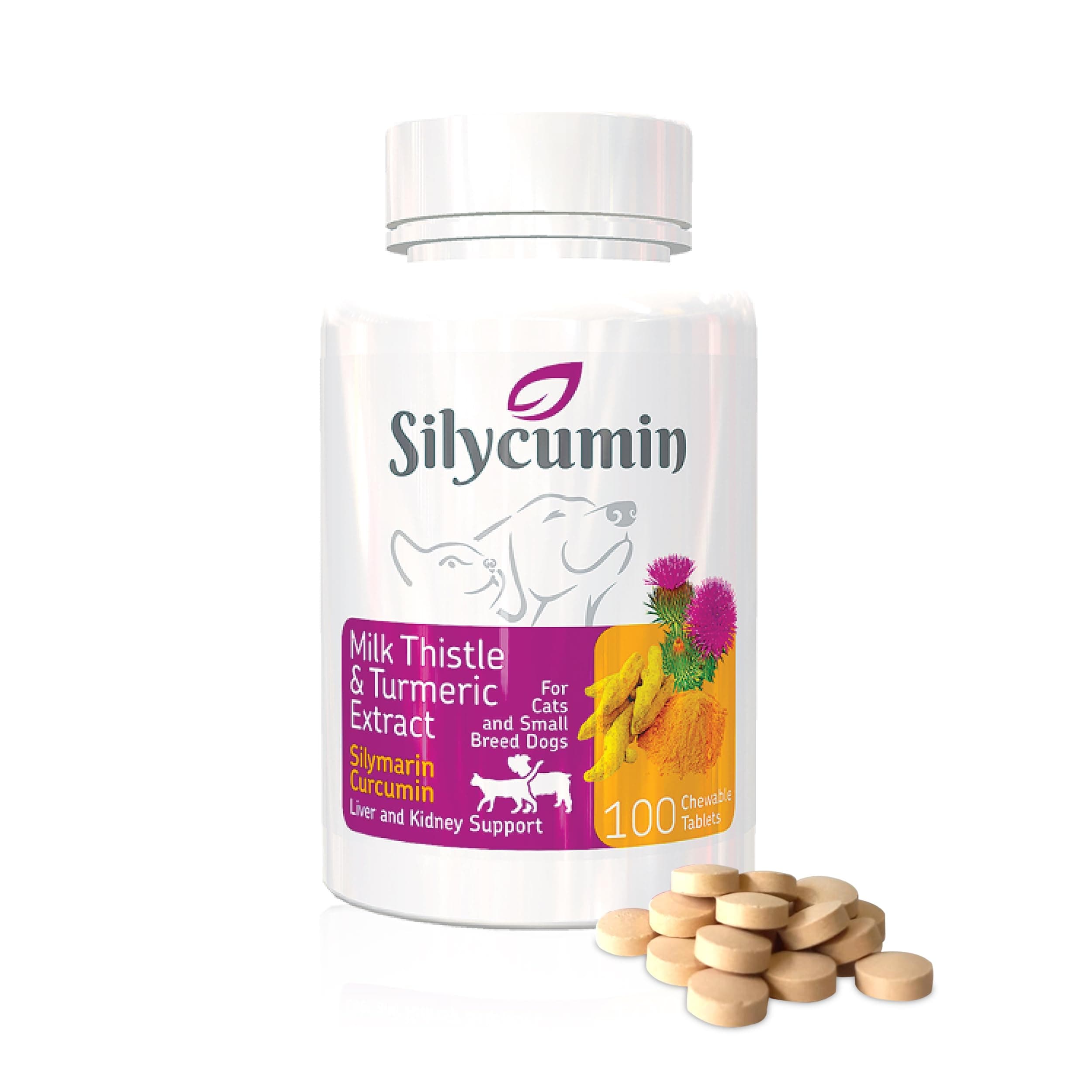 Bio PetActive Liver and Kidney Health Milk Thistle Supplement for Cats & Dogs | Removes Toxins - Support Liver Regeneration and Boost Immune System with Silycumin & Turmeric, 100 Tabs (Small Breeds)