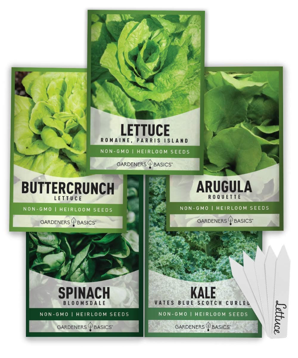 Gardeners Basics Lettuce and Greens Heirloom Vegetable Seed Non-GMO Seeds for Planting Indoors and Outdoor - Lettuce Buttercrunch, Romaine, Arugula, Kale and Spinach, Pack of 5