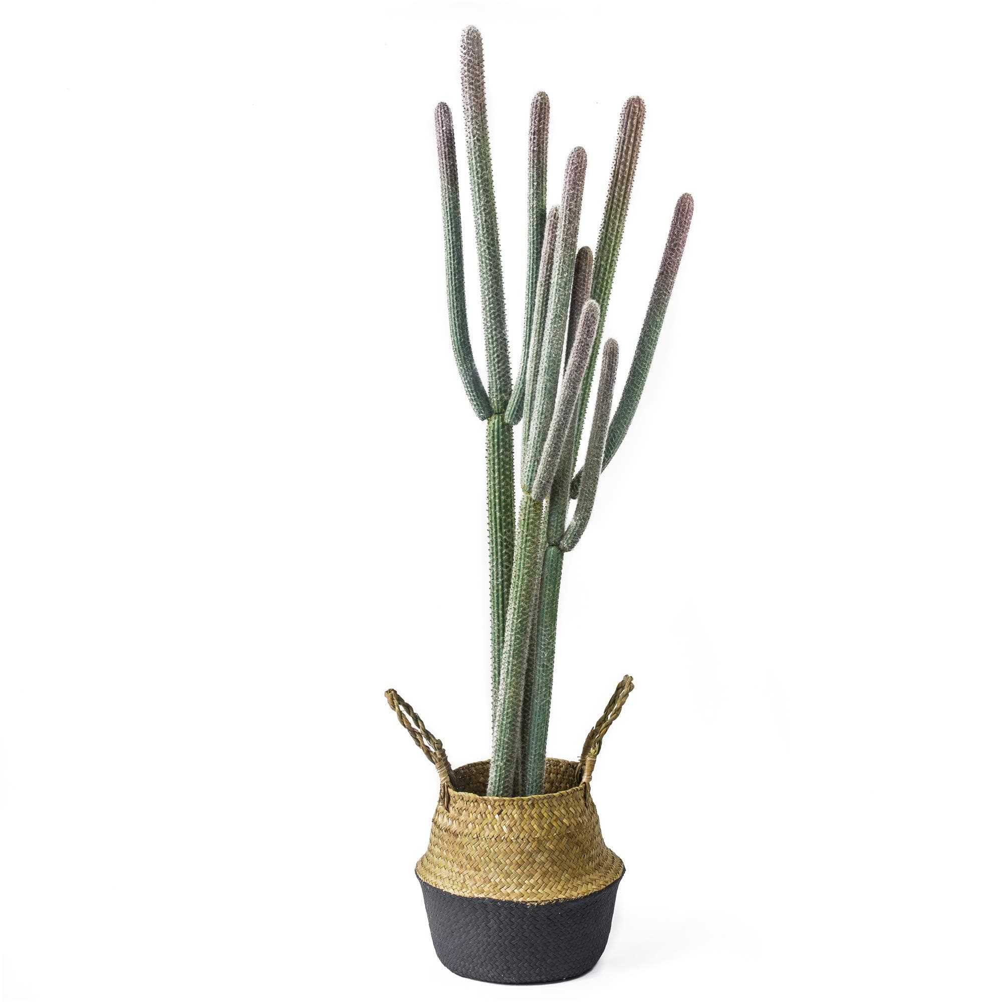NCYP 4ft (48 Inch) Tall Artificial Cactus in Plastic Planter with Seagrass Basket - Faux Small Saguaro Cacti Potted for Home, Room, Office, Indoor Farmhouse Floor Decor, Fake Plants
