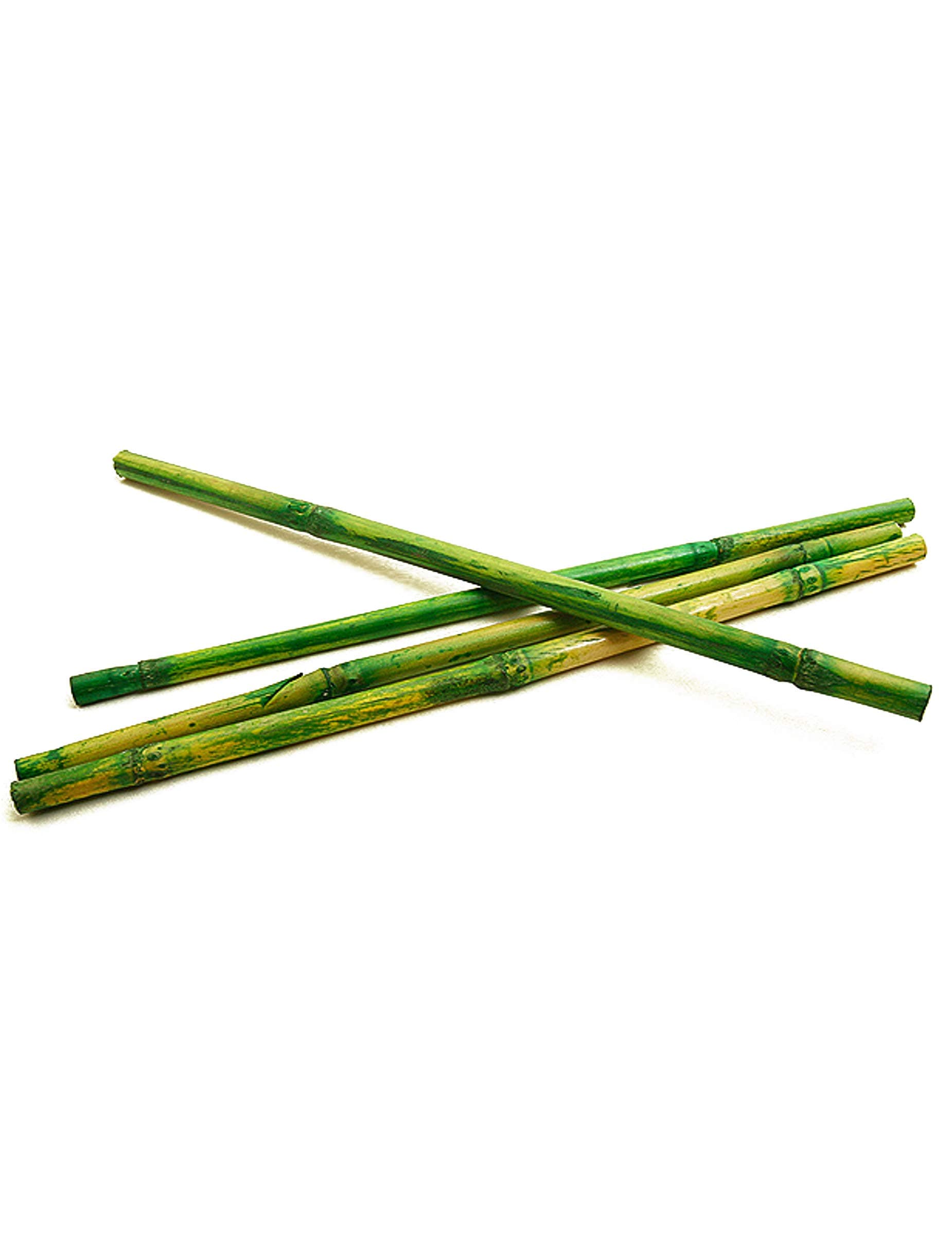 Hobi – Bamboo Sticks for Crafts