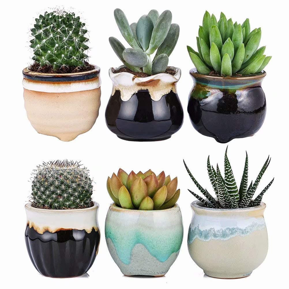 2.5 Inch Ceramic Planters,Flowing Glaze Succulent Planters Cactus Flower Plant Pot/Container Mini Succulent Plant Pots Black White Base Serial 6pcs in Set Plants Not Included