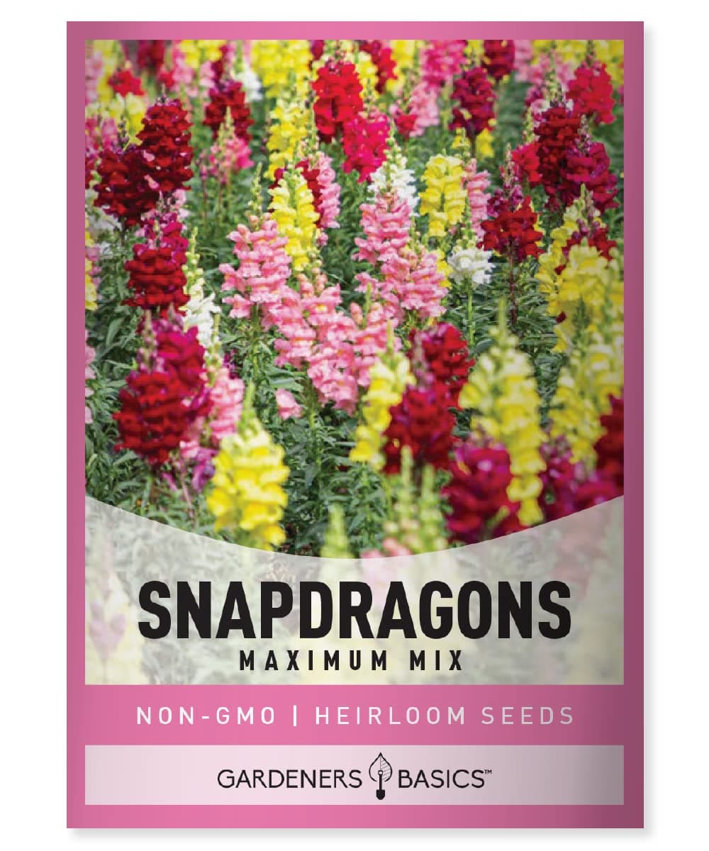 Snapdragon Seeds for Planting (Maximum Mix Snap Dragon) Annual Flower Heirloom, Non-GMO Variety- 400mg Seeds Great for Summer Seeds for Gardening Flowers Gardens