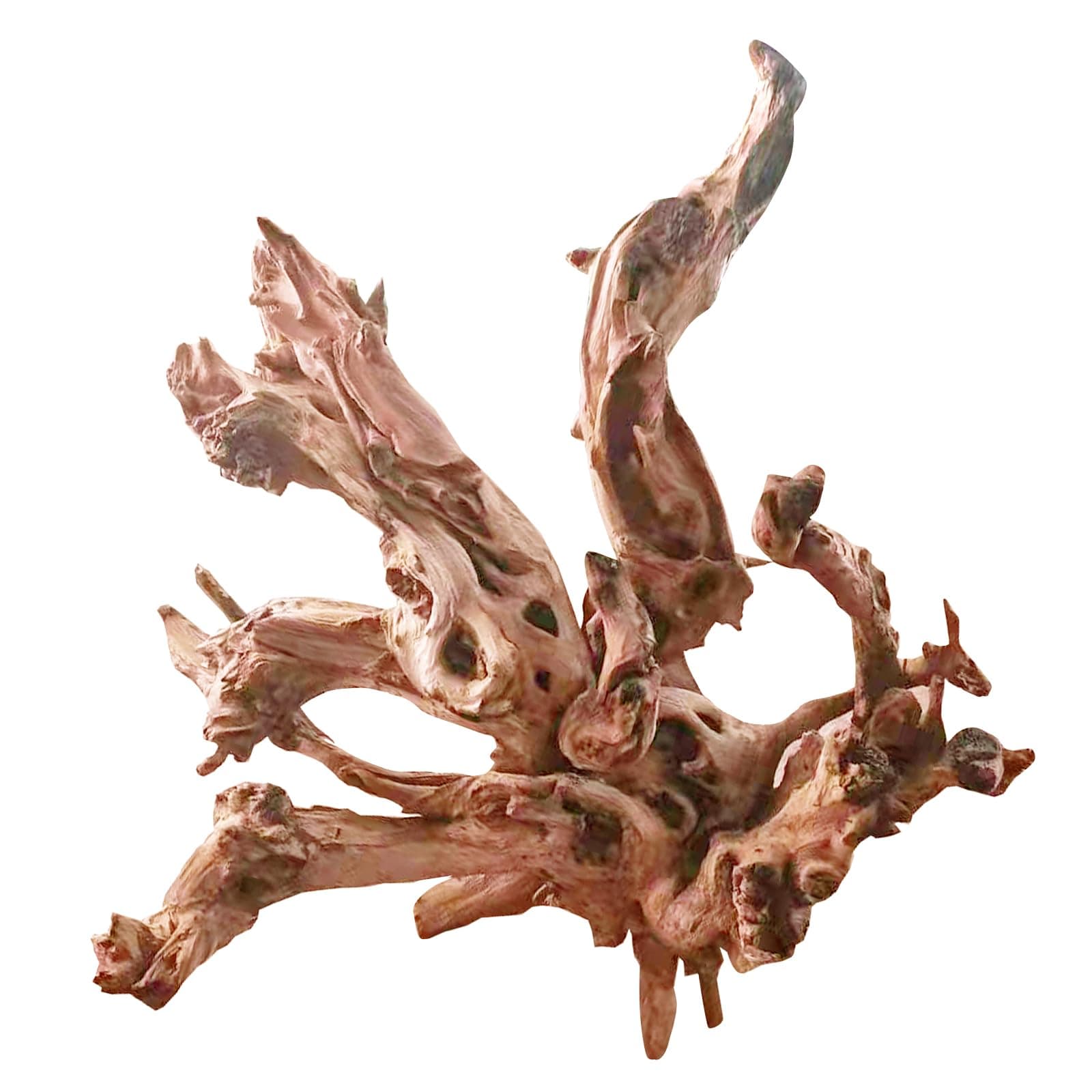 Jorewood Natural Large Aquarium Driftwood for Fish Tanks & Reptile Terrariums – 100% Safe Fish Tank Decorations, Unique Twisted Branches 1-Piece 13-17 Inch Low Tannin, Easy to Sink
