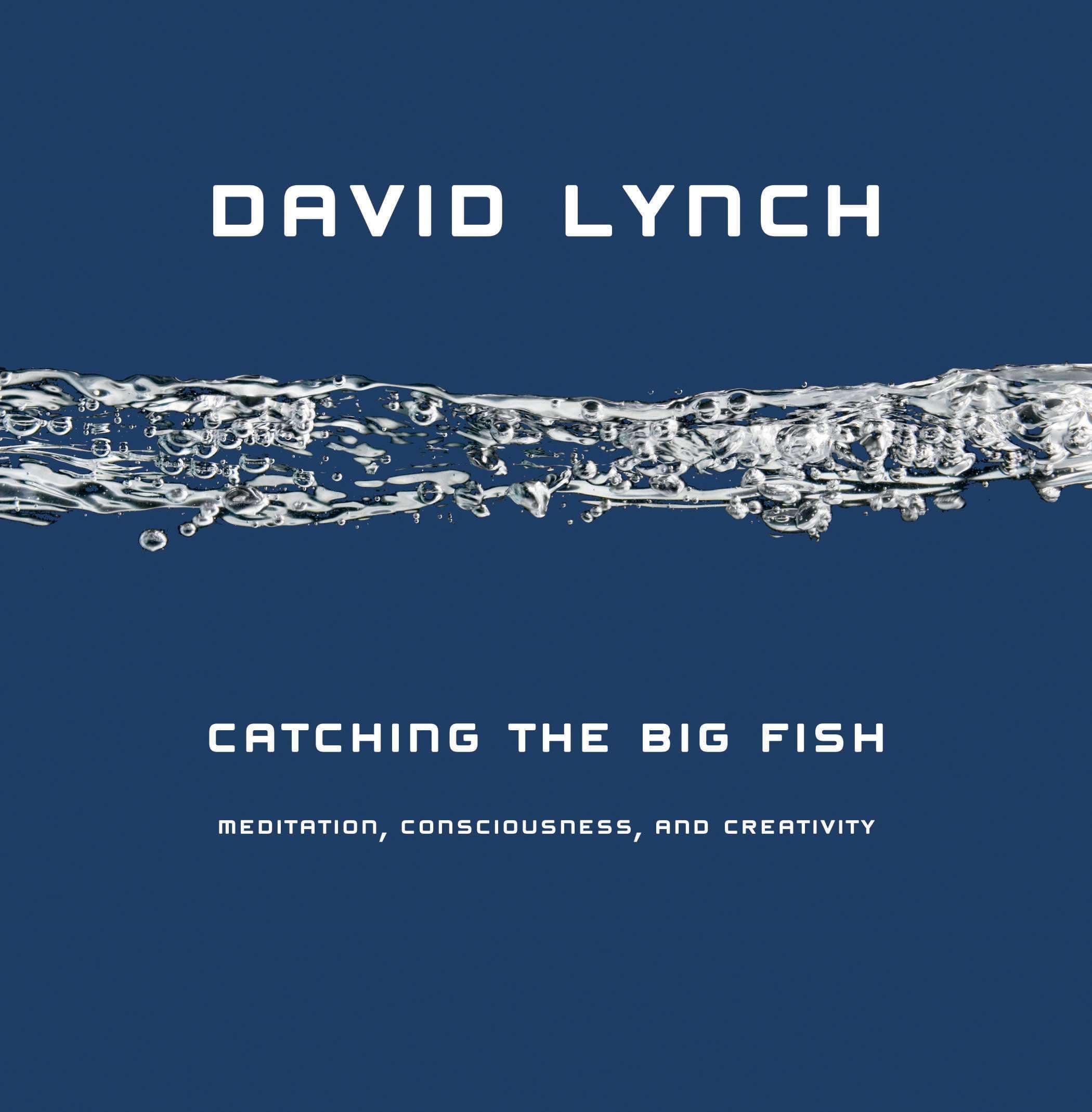 Catching the Big Fish: Meditation, Consciousness, and Creativity Hardcover – December 28, 2006