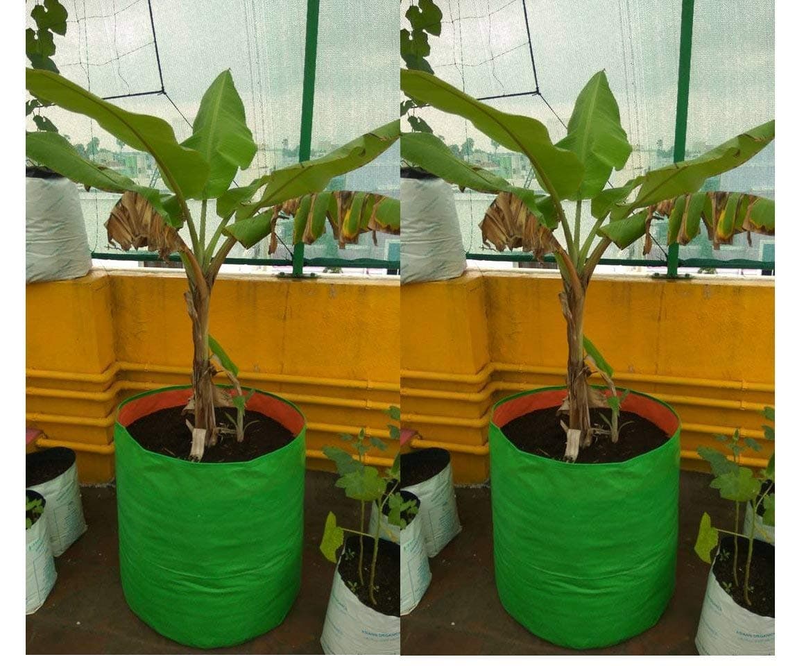 YUVAGREEN Terrace Gardening Leafy Vegetable Green Grow Bag (18" x 24") - Pack of 2