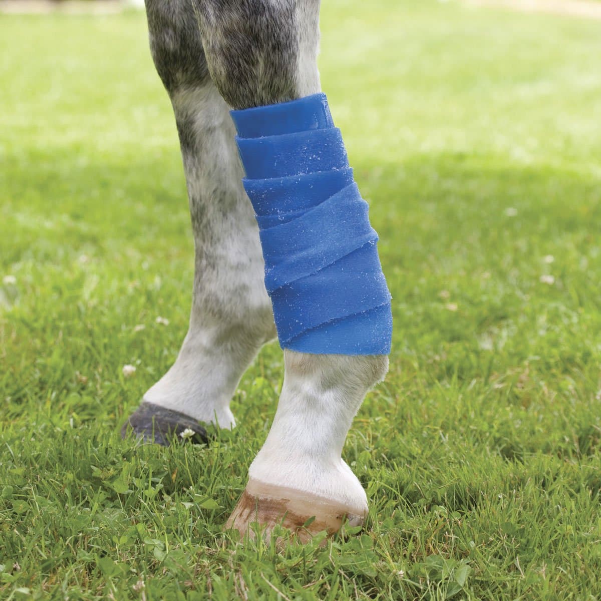 Coldflex Vet-Wrap - 3 In X 72 In