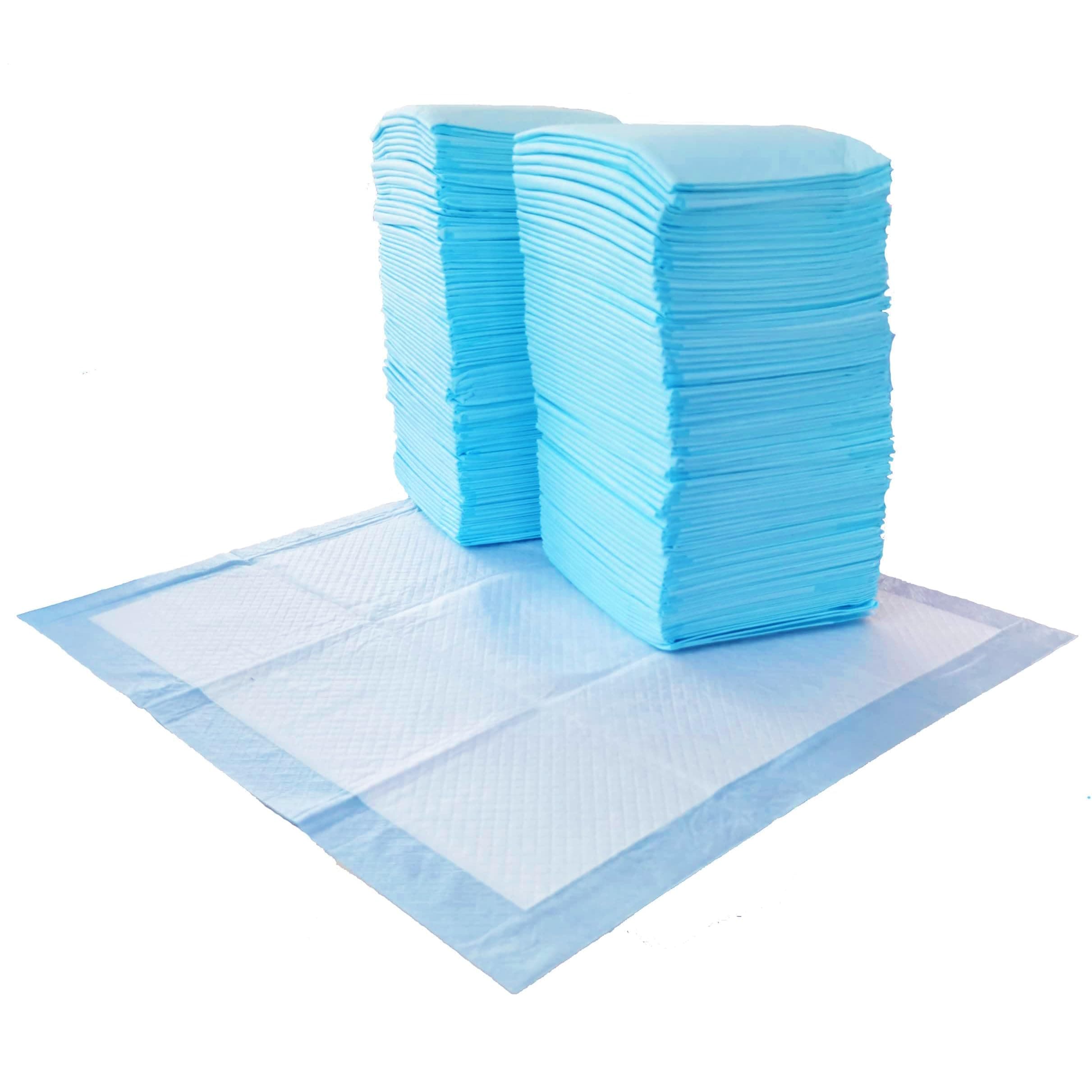 Scented Dog and Puppy Potty Training Pee Pads, 5-Layer Leak-Proof Super Absorbent with Quick-Dry Surface, Regular Size 22 x 22 Inch, Blue & White, 100 Count