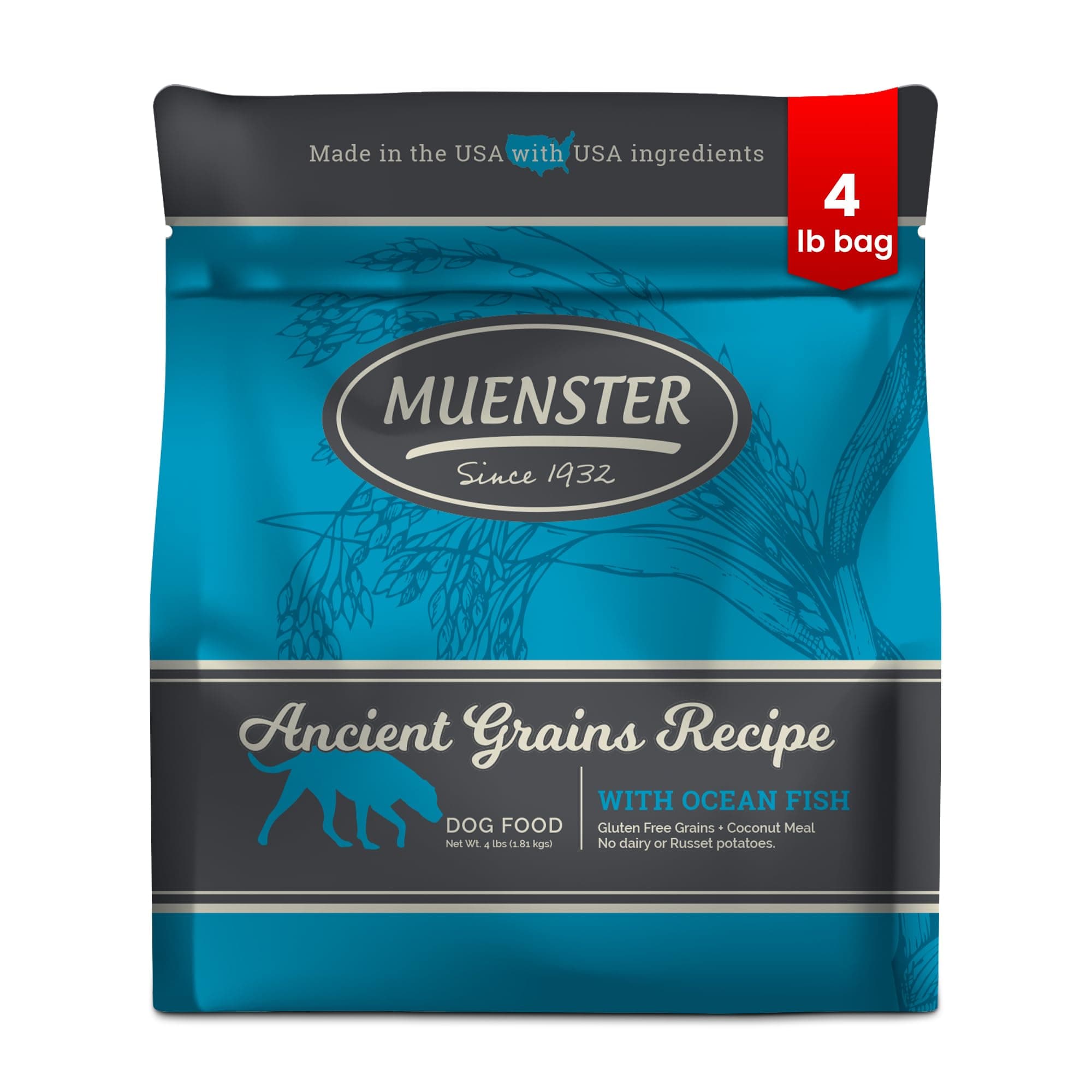 Ancient Grains Ocean Fish Dry Dog Food, 4lb - Gluten-Free, High Protein, Digestive Support
