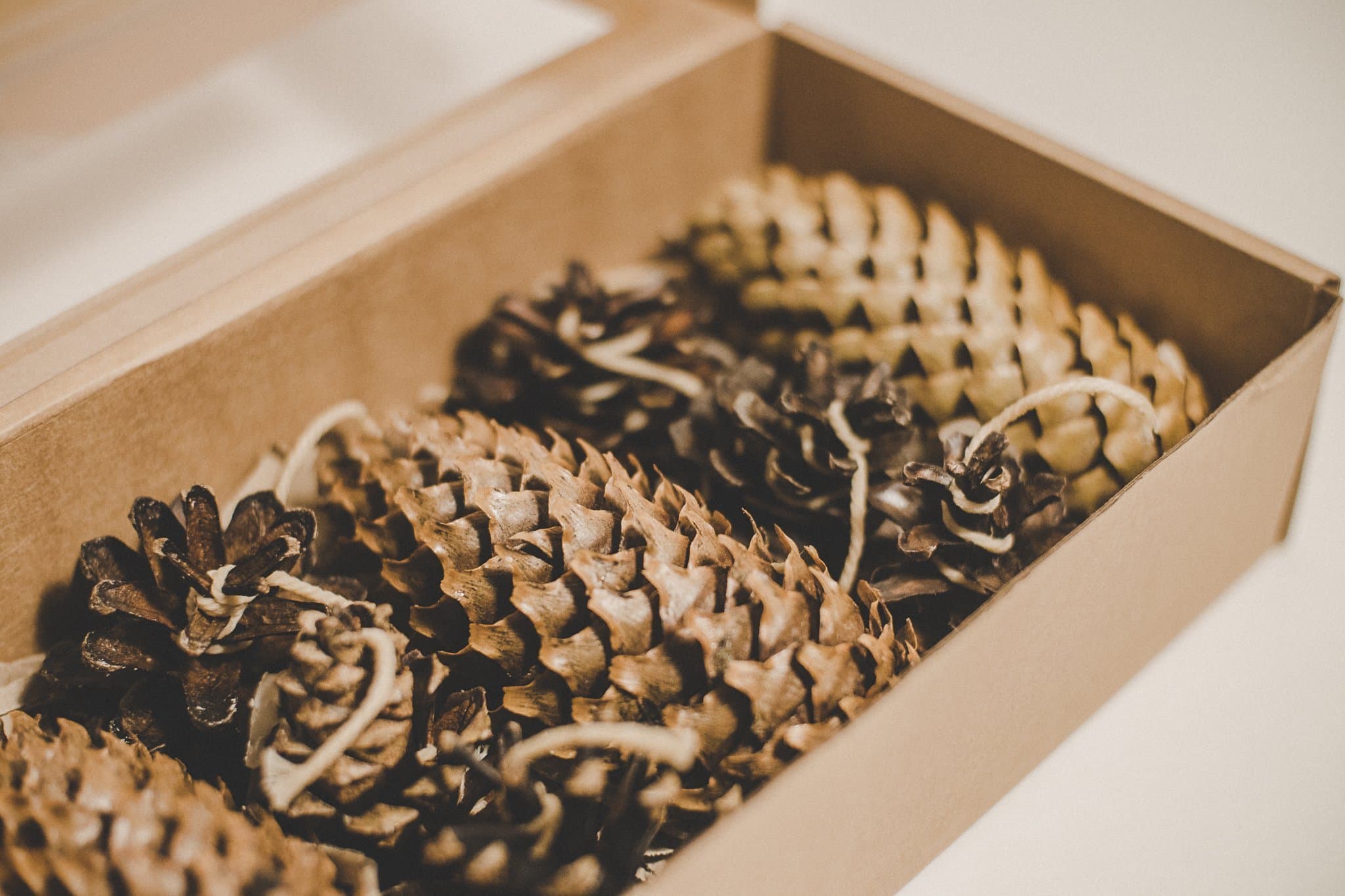 Mix of Fire Starters, Pine Cone Fire Starters, Perfect Gift, Best Fire Starters, Wedding Favor, Eco Fire Starters, Fir Cone, Handmade