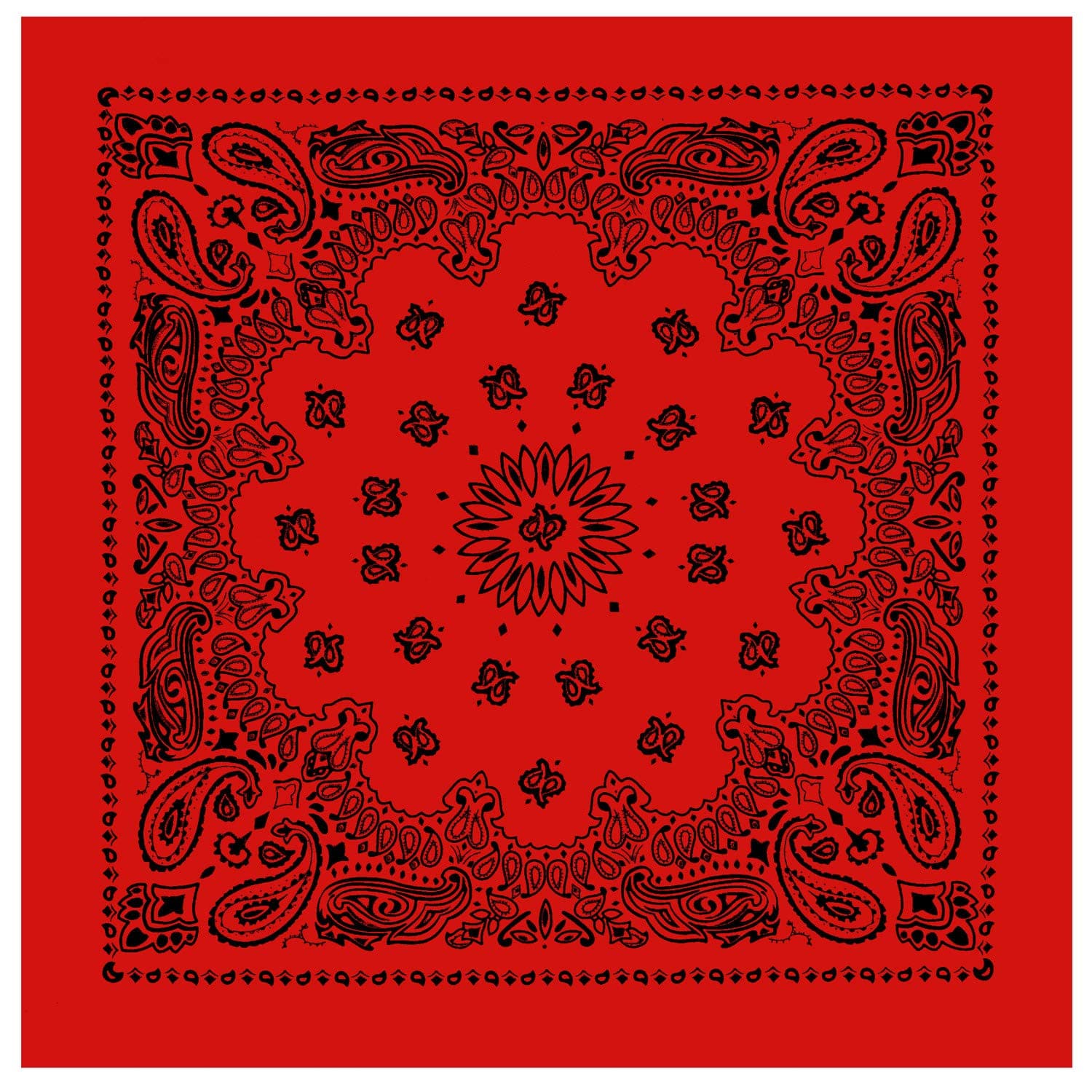 Trainmen Paisley Bandana - Standard - 22" X 22"