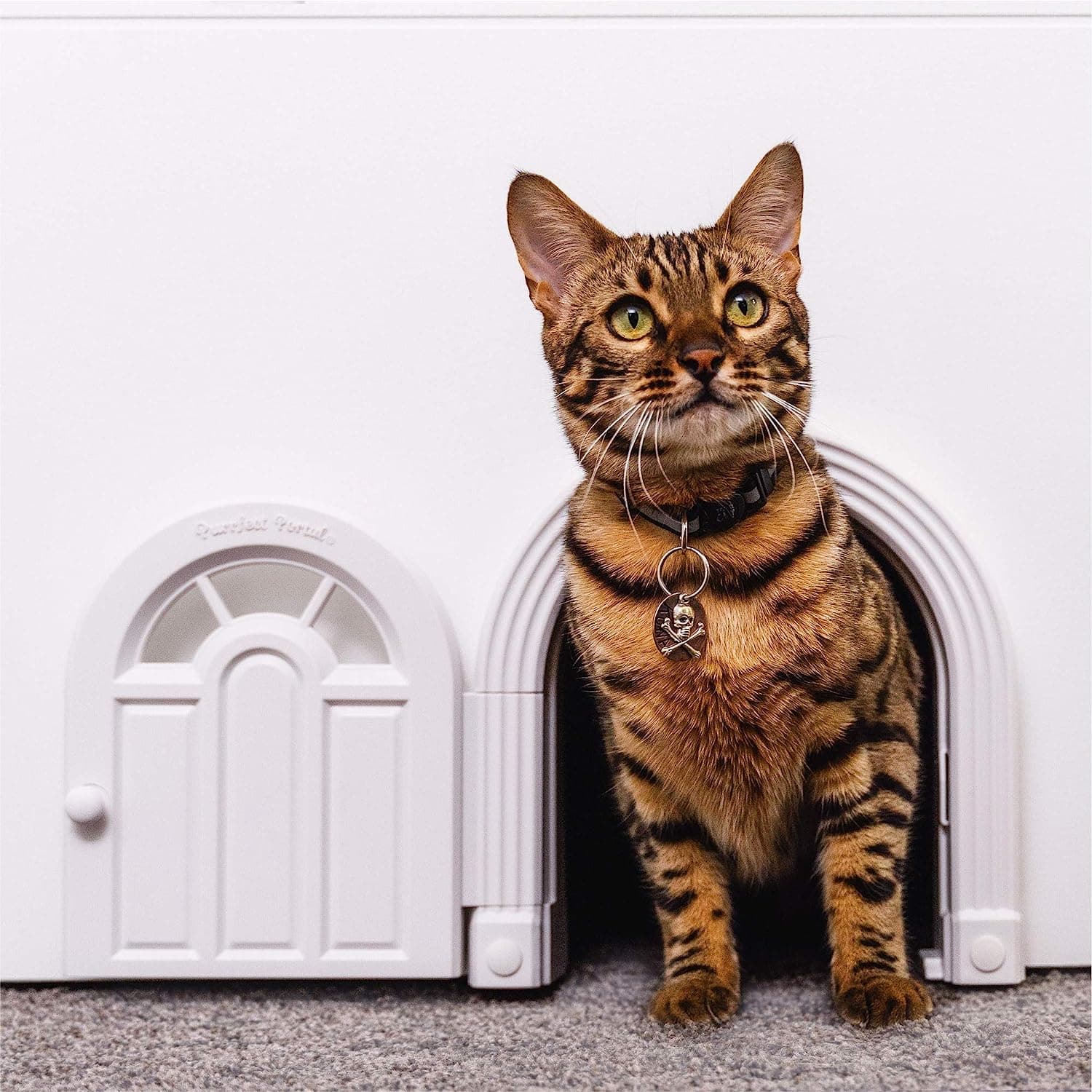 Purrfect Portal Meow Manor® Cat Door Interior Door - No-Flap, Fits Cats Up to 20 lbs, Easy DIY Setup, No Training Needed