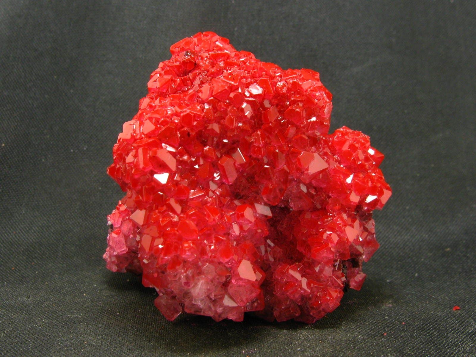 Alum Rich Red Cluster from Poland - 2.0"