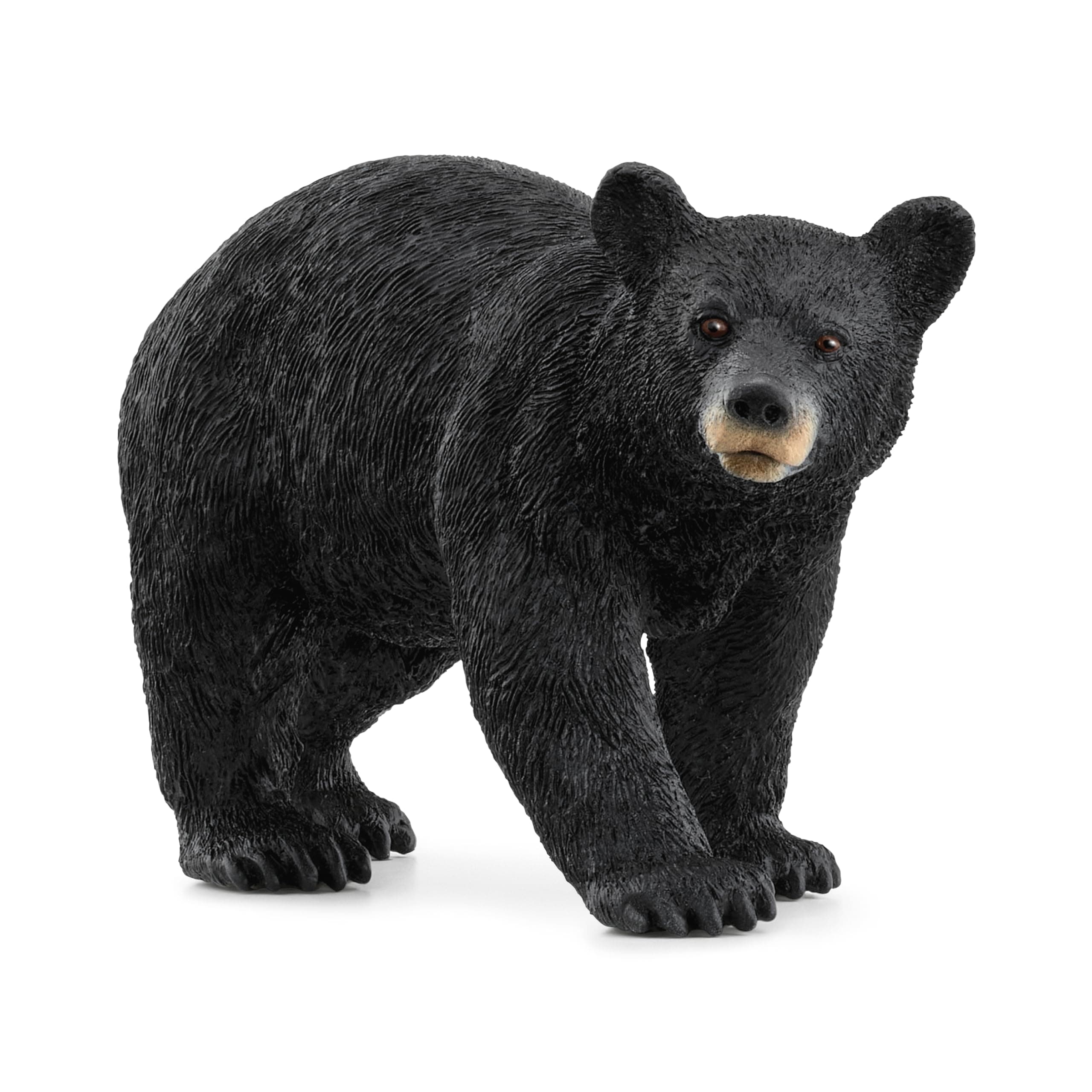 American Black Bear Figurine - Realistic Bear Model for Animal Lovers and Collectors, Ideal Gift for Kids Ages 4+