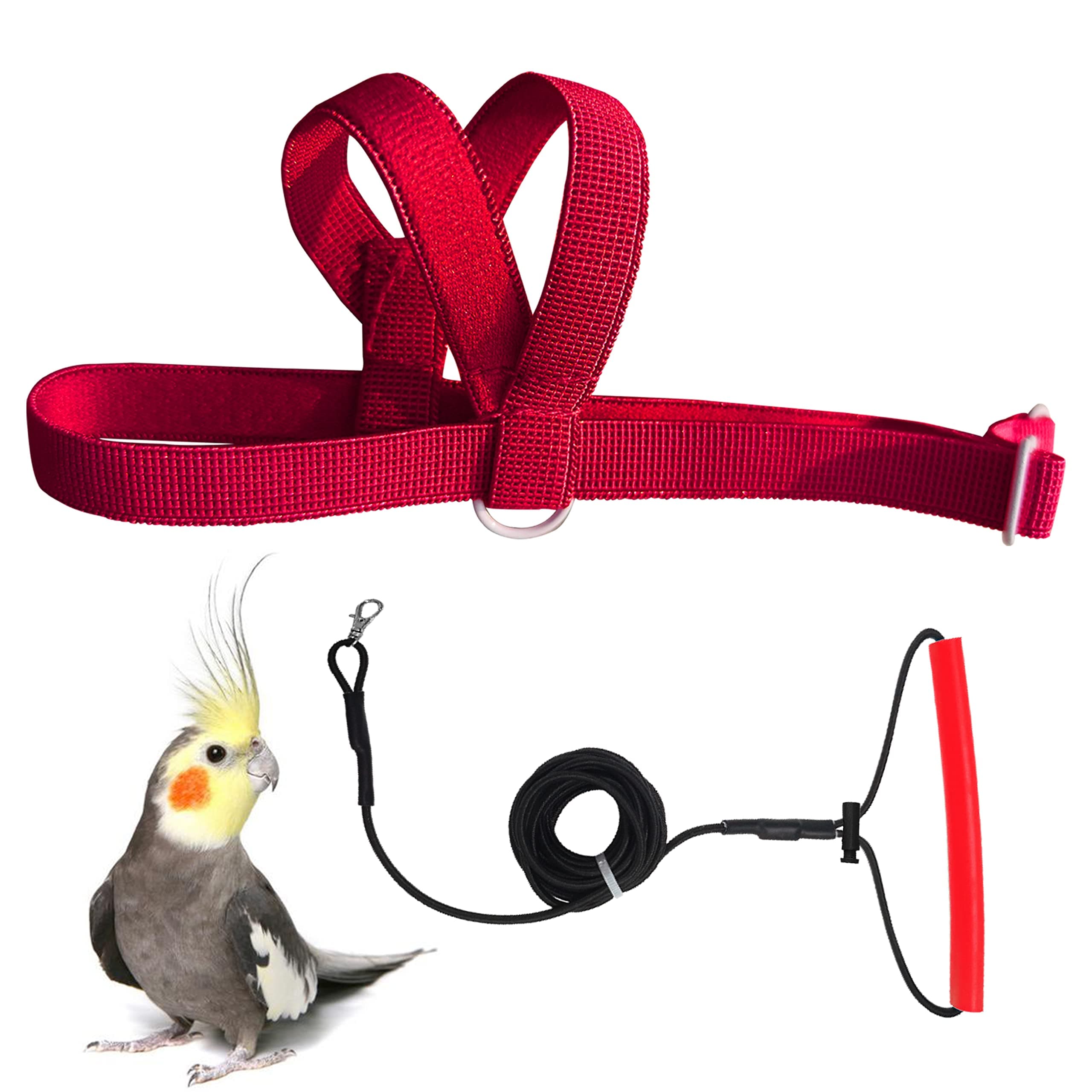 Adjustable Bird Harness with 80 Inch Leash, Outdoor Flying Kit Training Rope for Bird Parrots Cockatiel S Size Weight 70-120 Grams, Burgundy Red