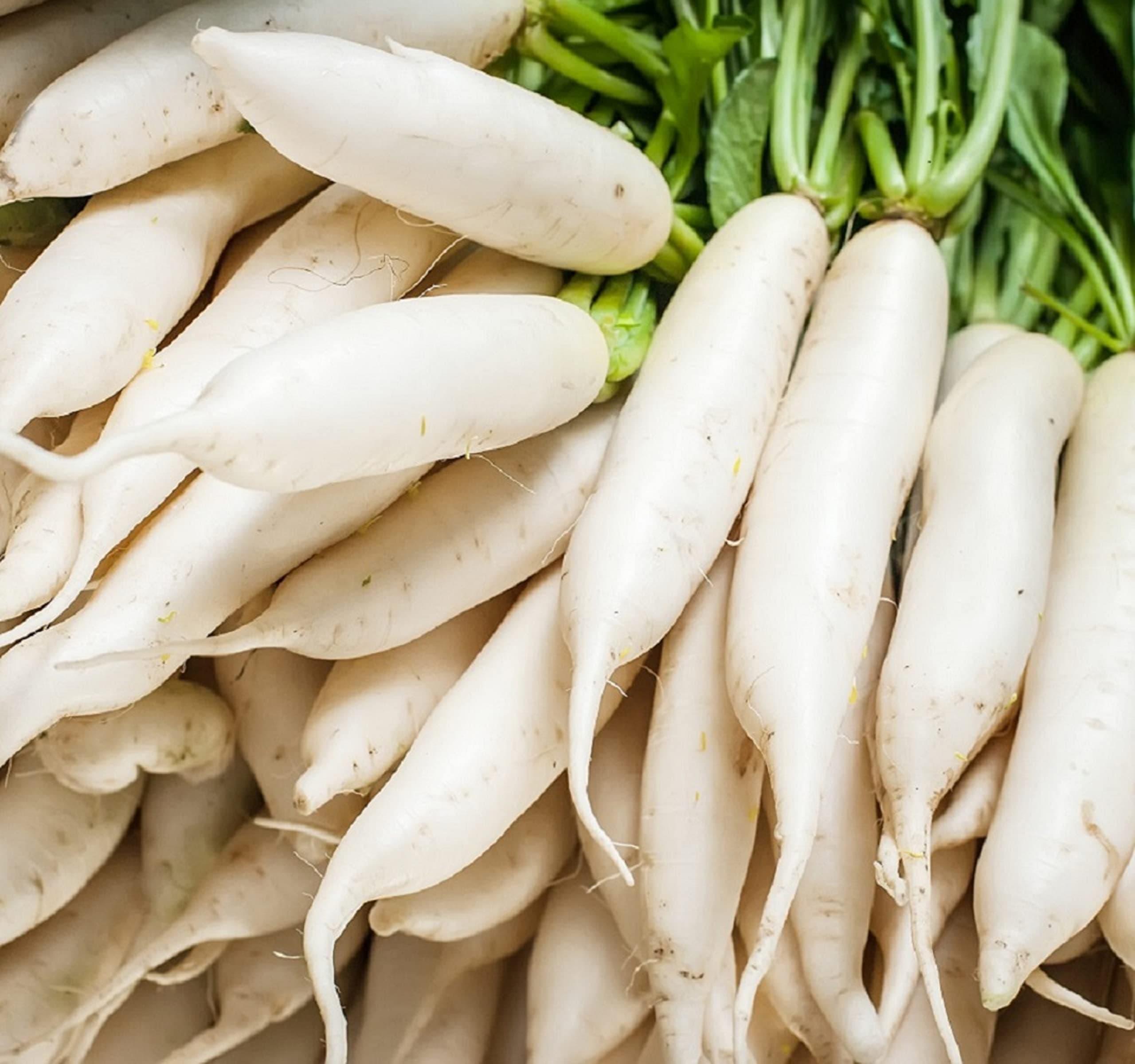 - Japanese Daikon Radish Seeds for Planting - 100 Heirloom Non GMO Seeds - Full Planting Instructions to Plant & Grow a Home Vegetable Garden - Great Gardening Gift, 1 Packet