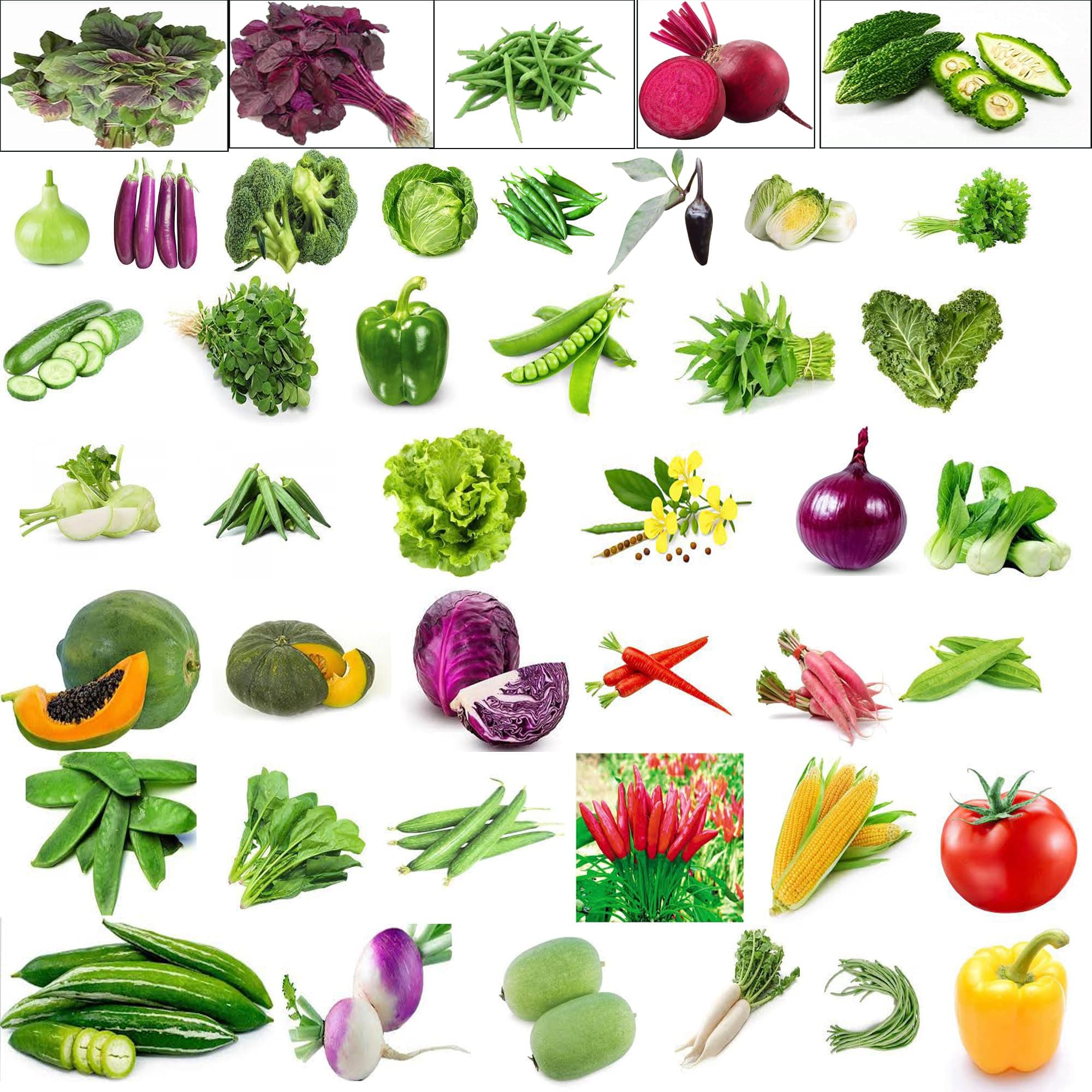 KIDSEEDS 45 Vegetables Seeds for Gardening – Organic and Hybrid Vegetable Seeds – 45 Seeds for Gardening Vegetables Assortment Pack – Easy to Grow Plant Seeds for Home Garden – High Germination Rate