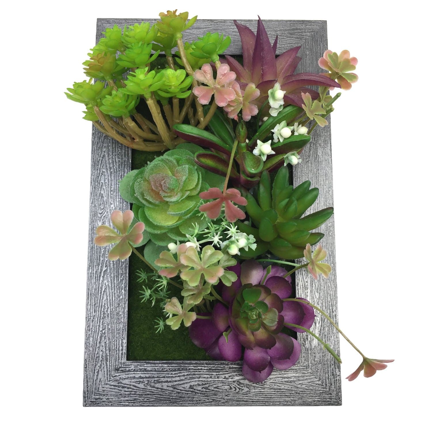 PietyDeko 3D Frames Artificial Succulent Arrangement Tabletop Decoration or Wall Mounted Sculptures Green Purple