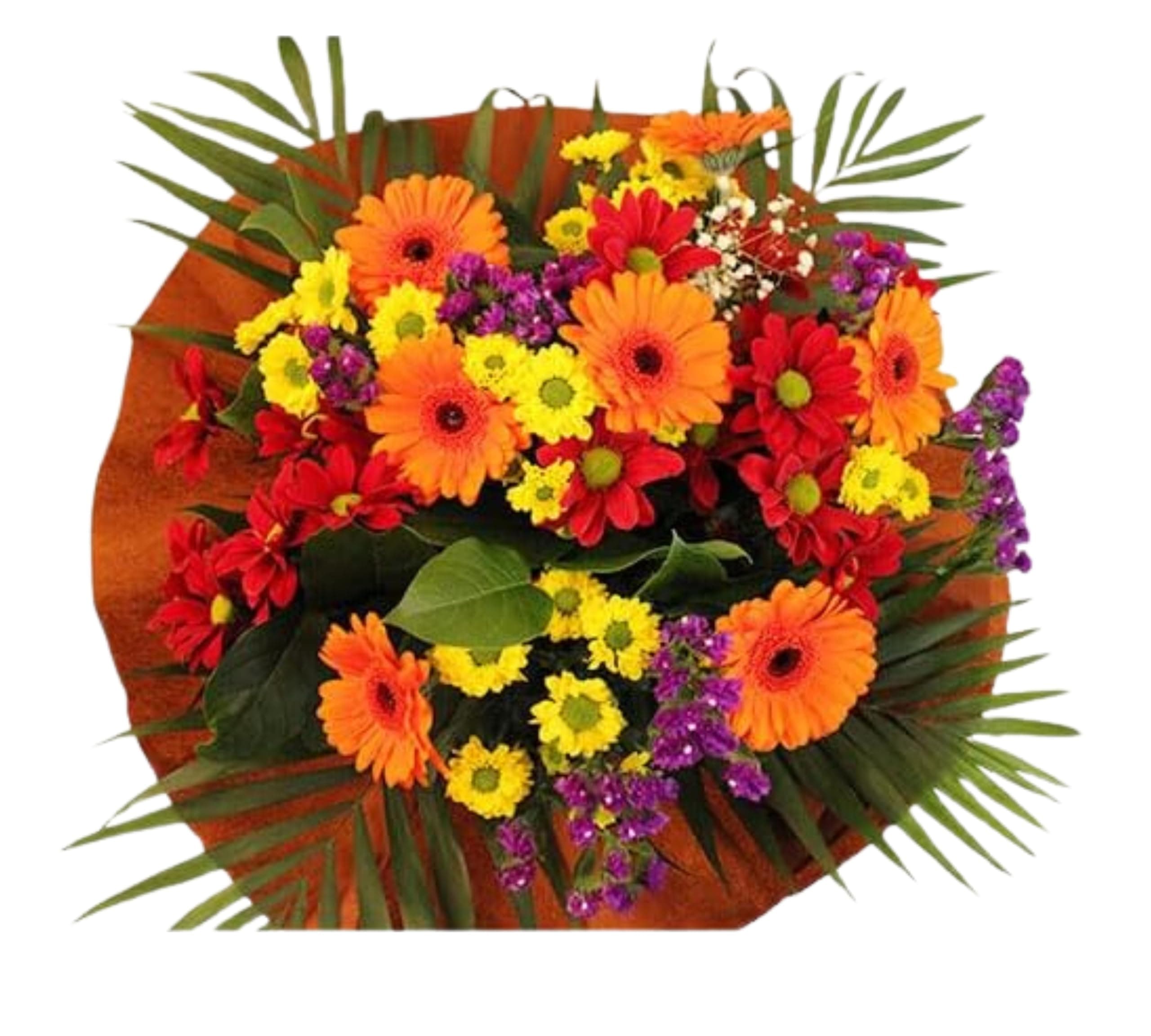 Autumn Burn Bouquet Fresh Flowers Orange Gerberas, Yellow Red Chrysanthemums Bright Arrangement Gift Chocolate (Chocolate)