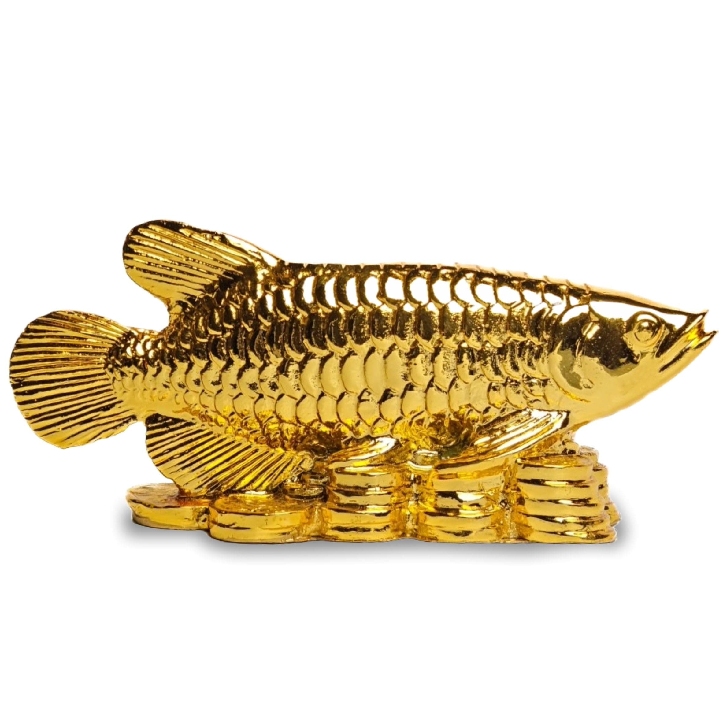 HOME GENIE "Golden Arowana Fish Feng Shui Showpiece | Symbol of Wealth & Prosperity | Handcrafted Home & Office Decor