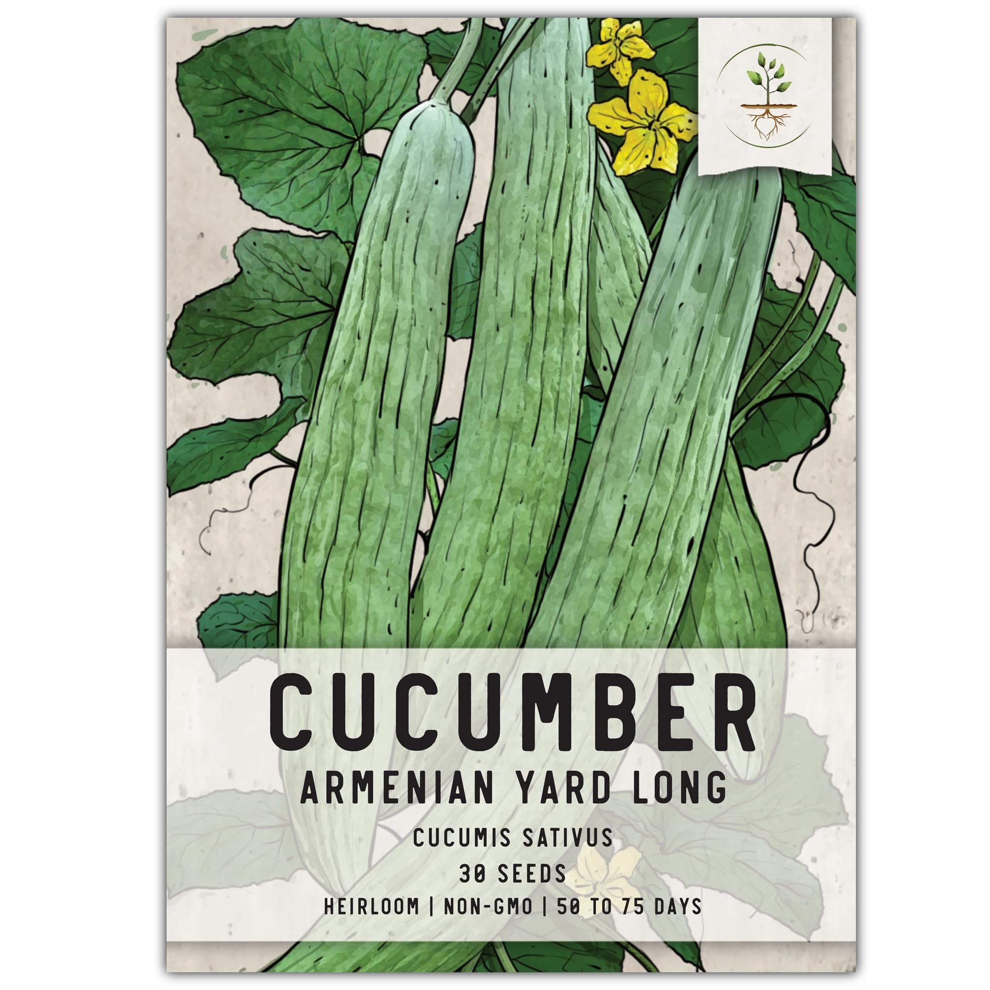 Seed Needs Cucumber Seeds for Planting Armenian Yard Long Cucumbers - Heirloom Non-GMO & Untreated - Snake Melon/Serpent Cucumber to Plant a Home Grown Outdoor Vegetable Garden (1 Pack)