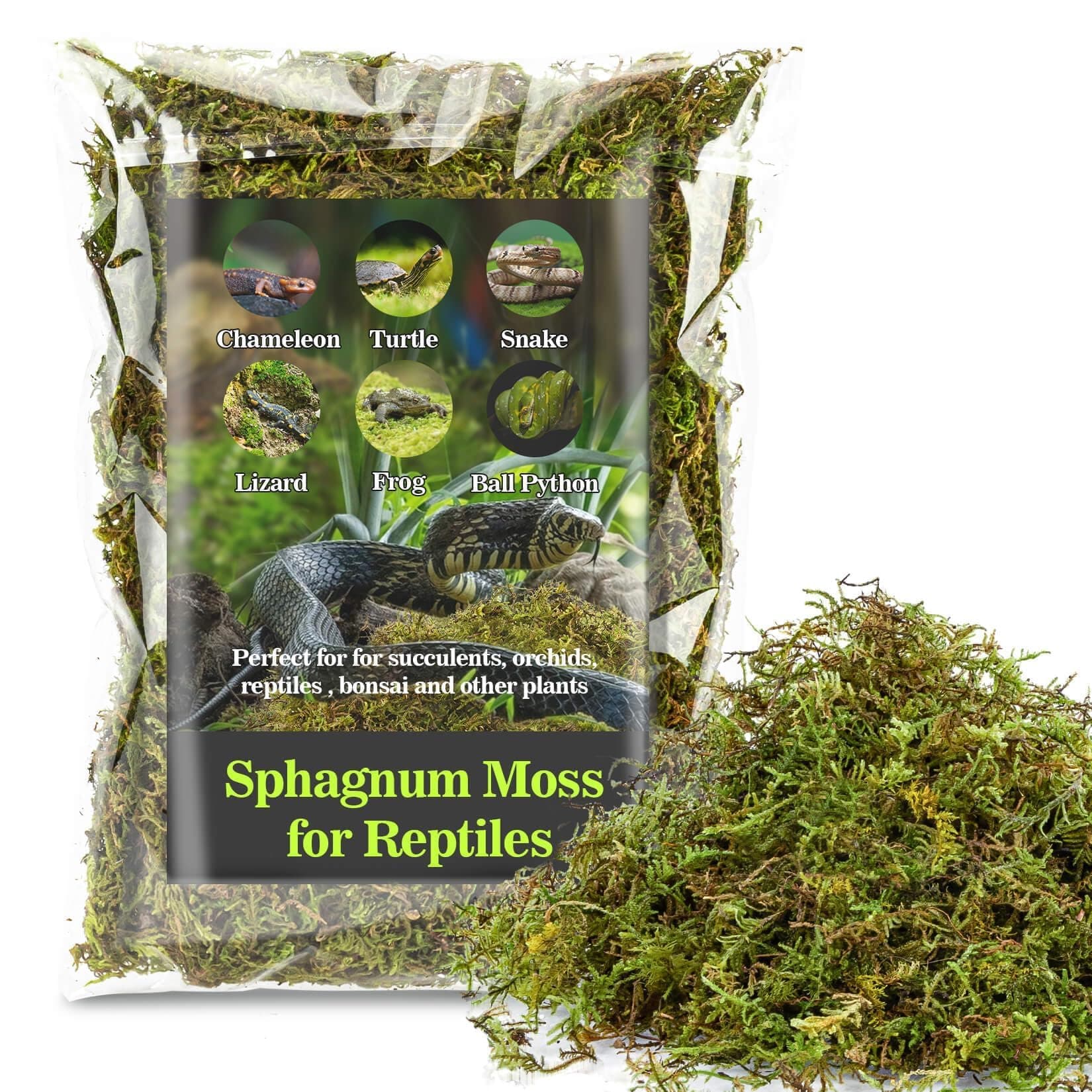Sukh Sphagnum Moss for Reptiles - Terrarium Reptiles Moss Green Dried Peat Moss Habitat Bedding Moss for Snakes Turtle Frog Gecko and Other Reptiles Substrate (5, Ounces)