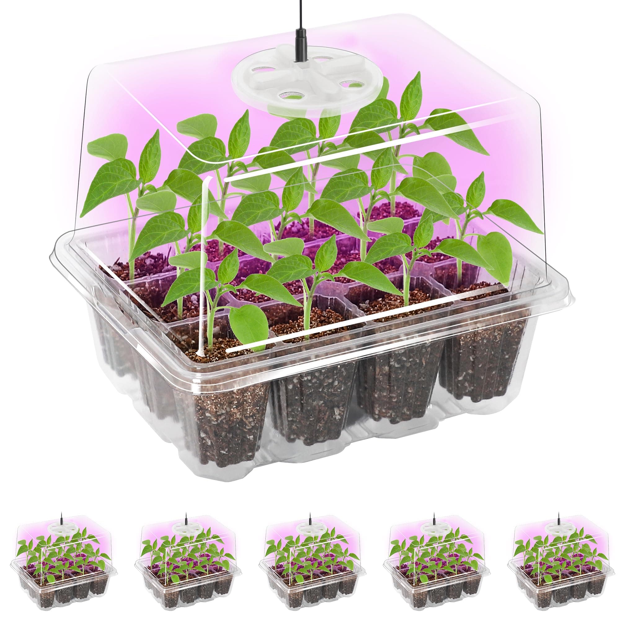 Bonviee 5 Packs Seed Starter Tray with Grow Light, Elevated Seedling Starter Trays Kits with Adjustable Humidity Domes and Clear Cell Tray, 12 Full Spectrum led lamp Beads for Plants Indoor-Clear