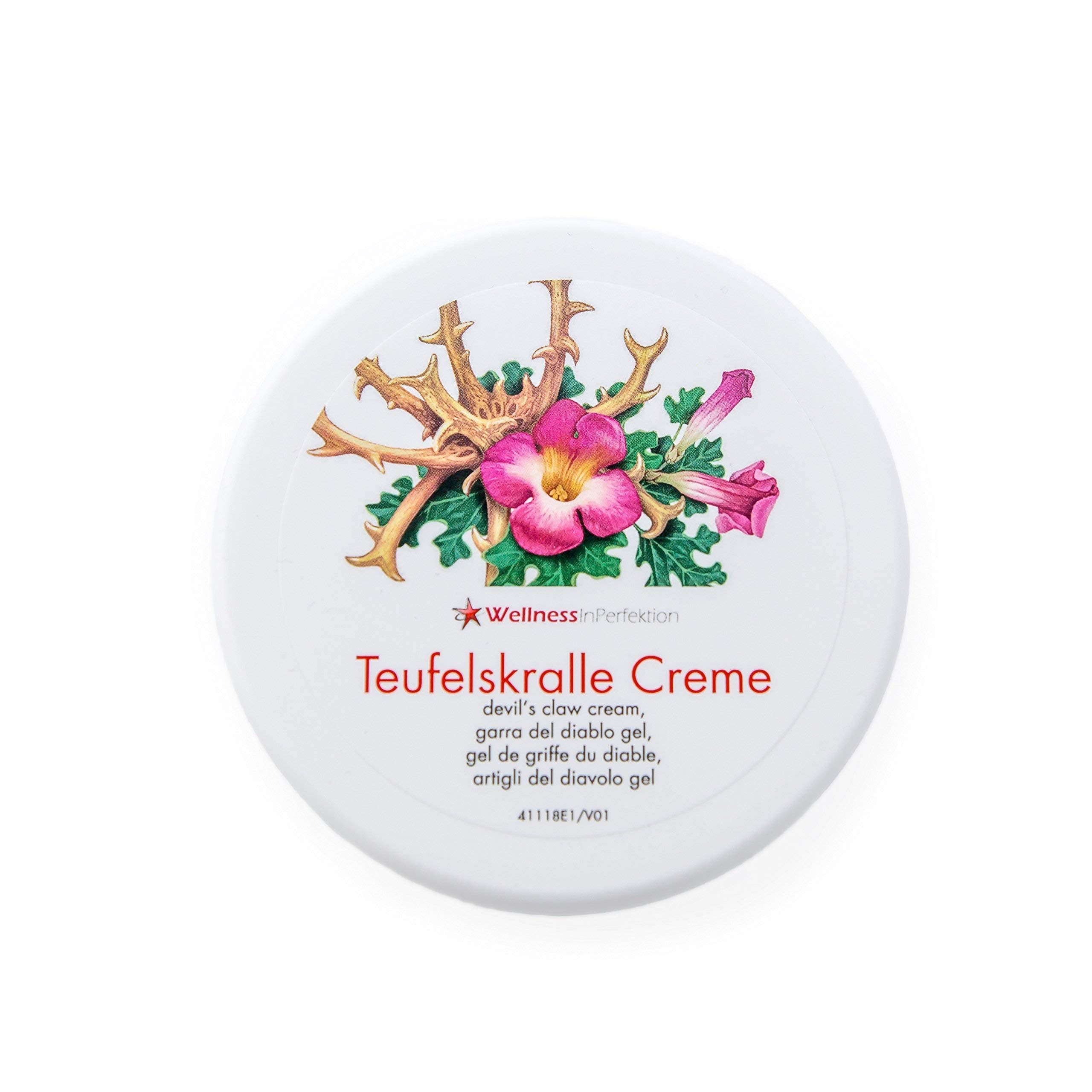 Pain Cream with Devil's Claw Vegan I Pain Gel Improves Circulation, Tension Relief Gel, Ointment for Joint Pain, Joint Ointment with Hay Flower Extract I 200 ml