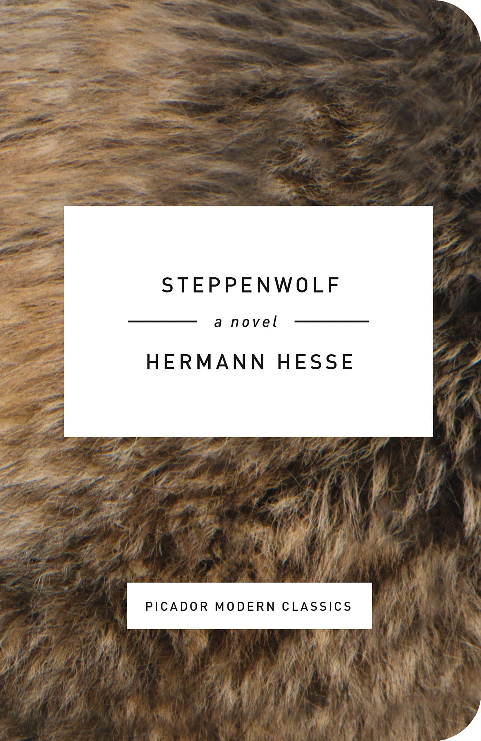 Steppenwolf: A Novel (Picador Modern Classics) Hardcover – November 3, 2015