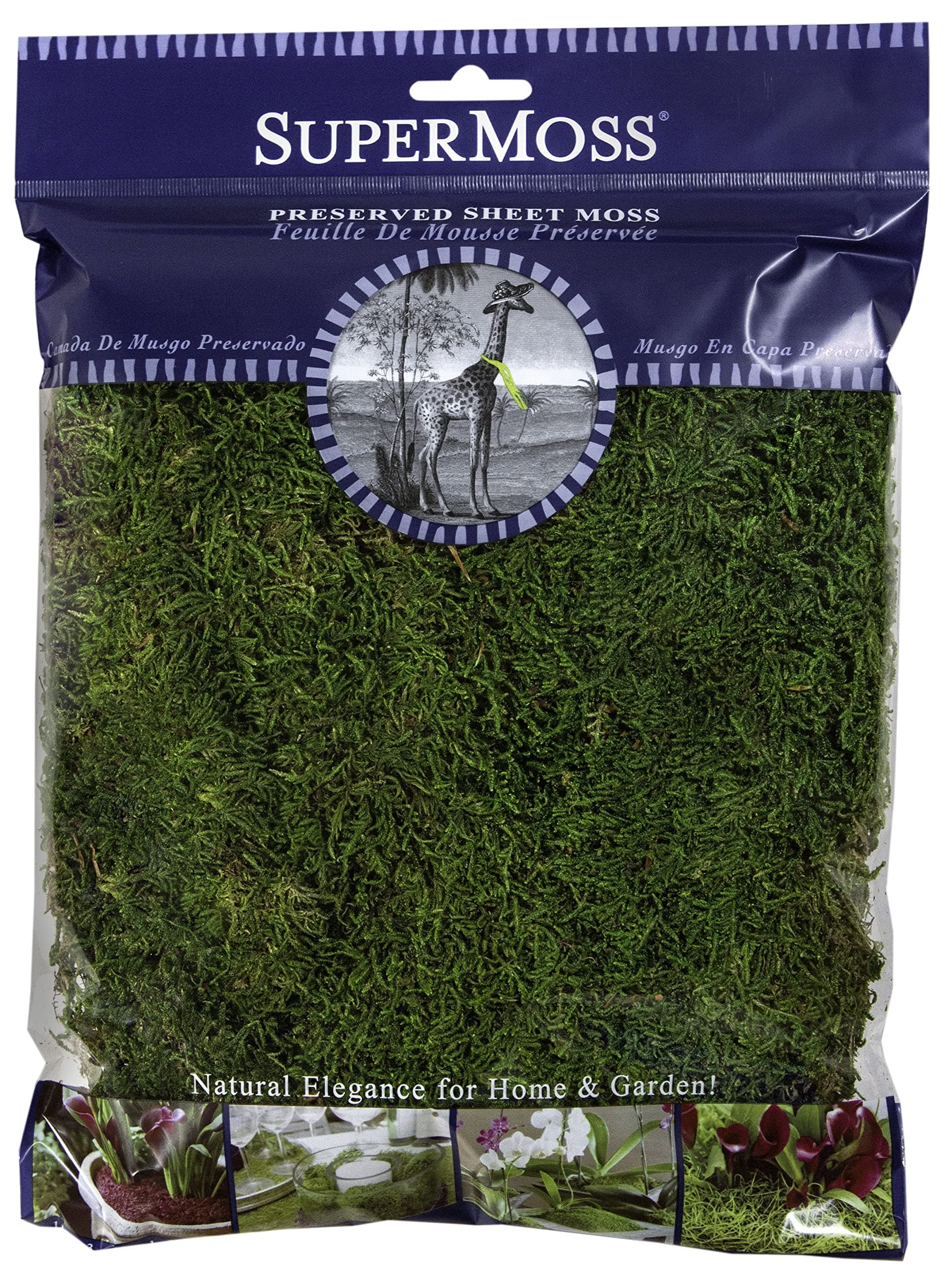 (21512) Preserved Sheet Moss, Fresh Green, 8oz (200 cubic inch)