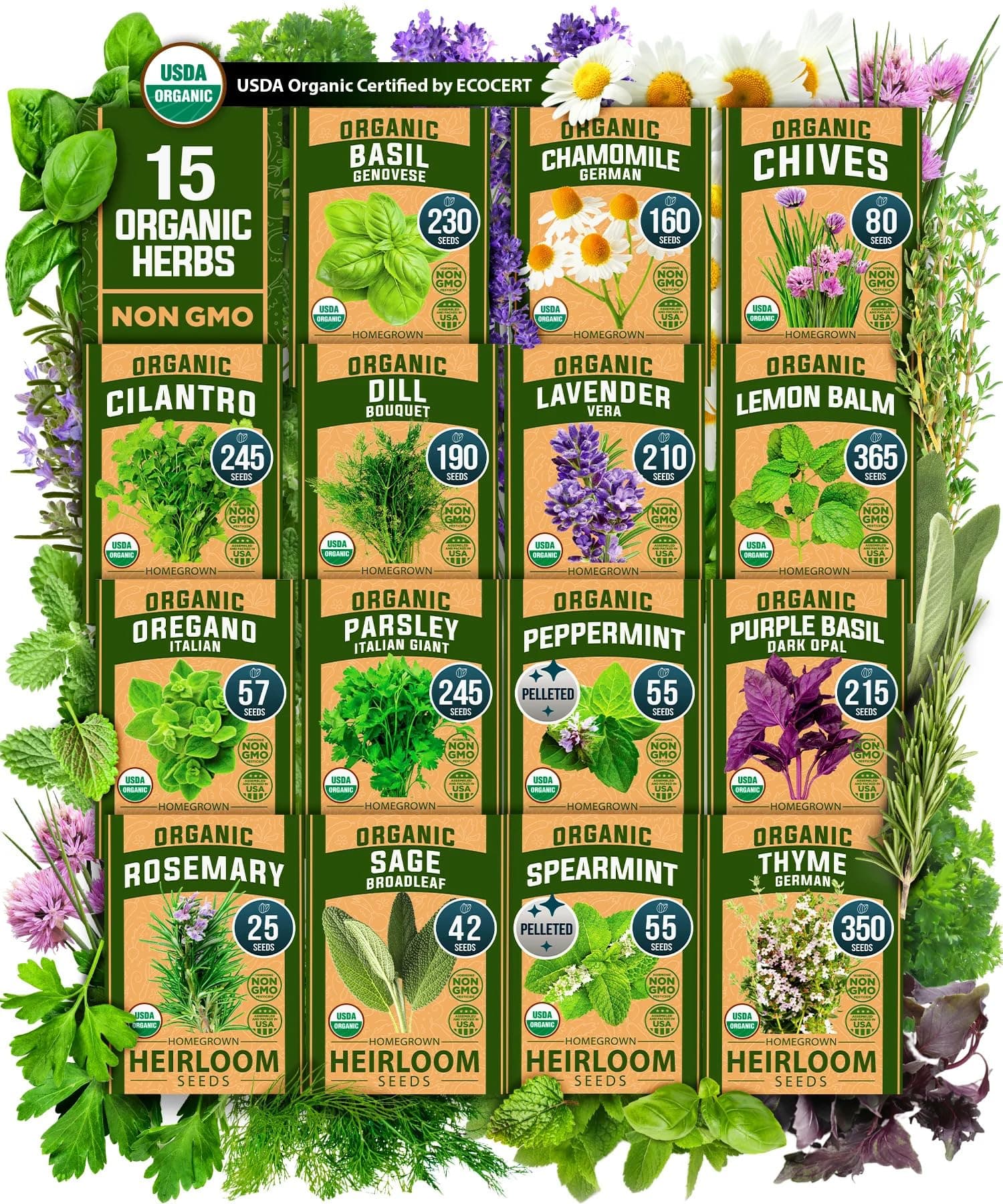 HOME GROWN Herb Seeds Non GMO, Heirloom 2,500+ Non GMO High-Germinating Heirloom Seeds for Planting Indoor Outdoor Herb Garden Hydroponics Garden Seeds, Basil Cilantro & More