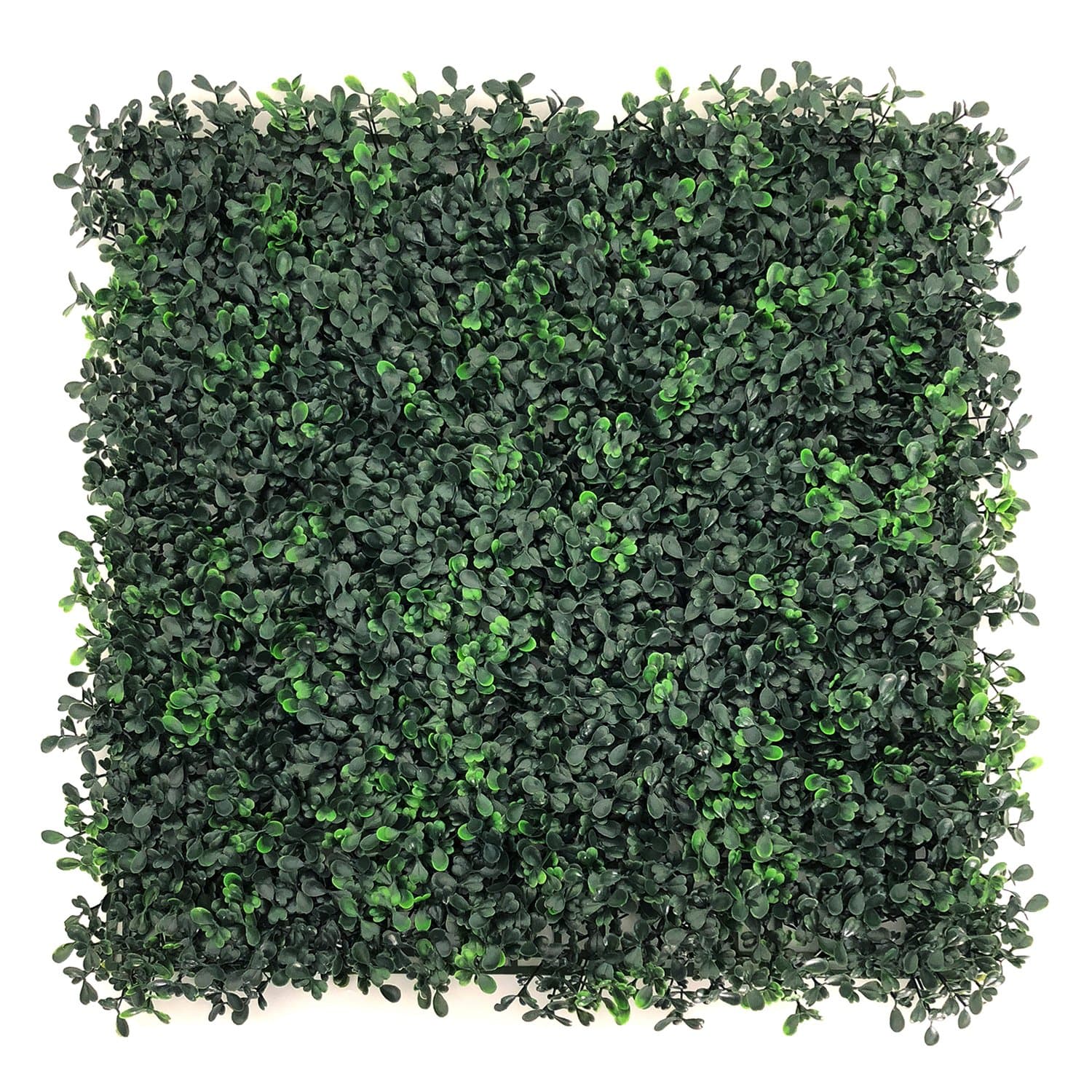 BESAMENATURE 12pcs 20"x20" Artificial Plants Wall Boxwood Hedge Mat, UV Protection High Density Greenery Panels, Cable Ties Included, Dark Green