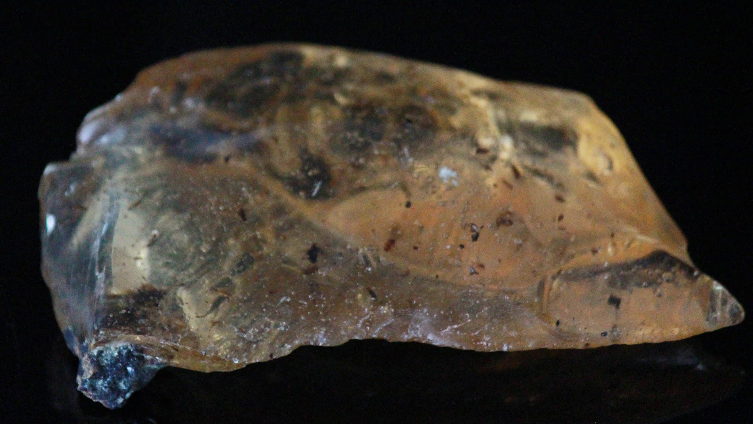 Amber, Fossil Insects, Fossilized Insects, Amber Specimen, Healing Crystals and Stones, Feng Shui Crystals for Feng Shui Decor