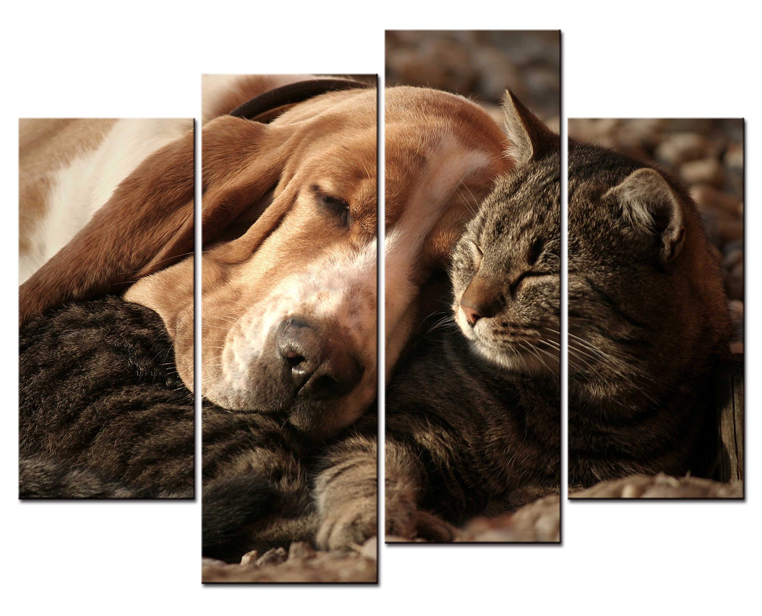 SmartWallArt - 4 Panel Wall Art Painting Cat-01 Picture On Canvas Stretched by Wooden Frames-for Living Room Decor Or As A Gift (01: A Brown Cat and A Dog Sleeping On The Carpet)